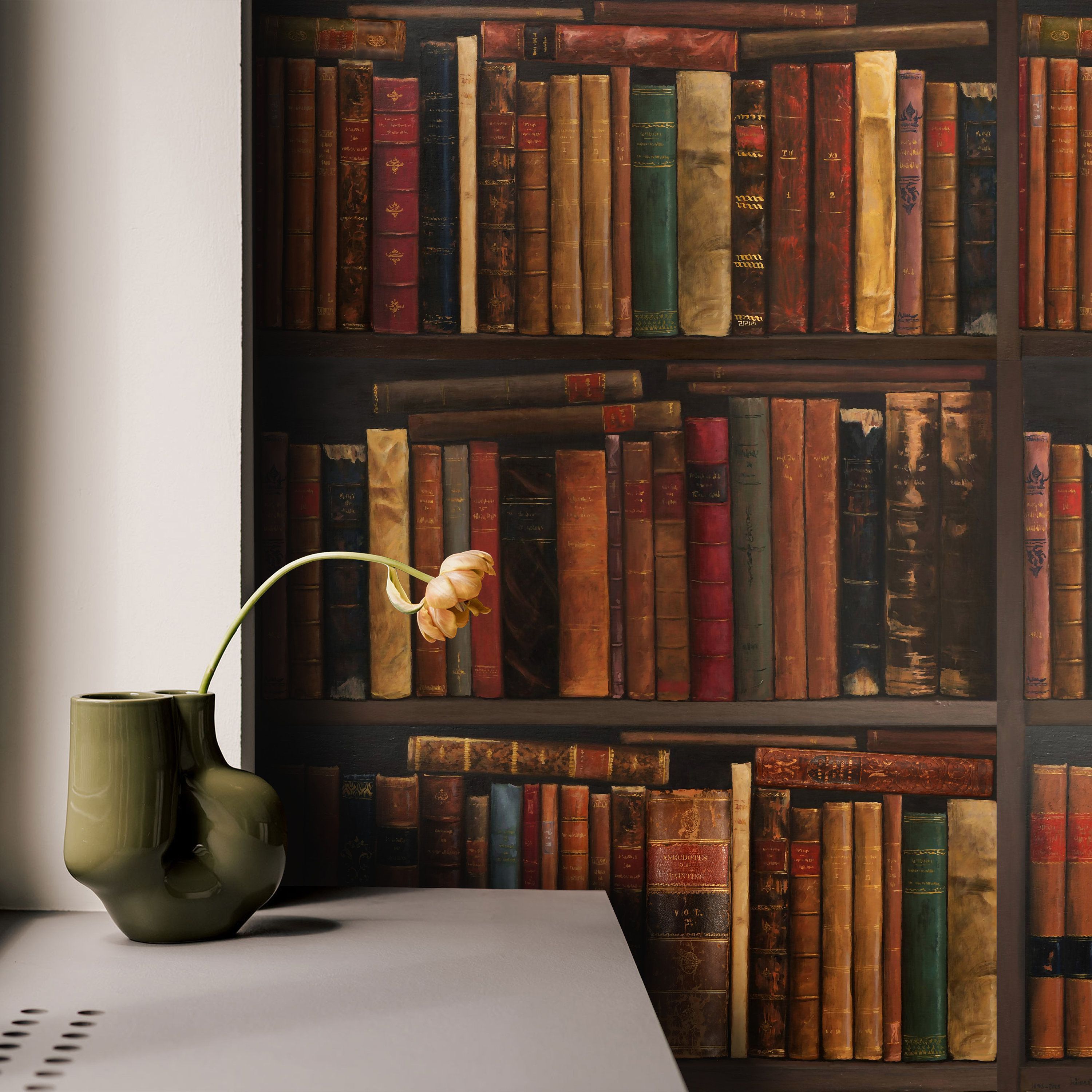 3000x3000 Library Bookshelf Wallpaper, Vintage Book Wallpaper, Antique Bookcase Wall Decor, Italian Eco Paper Wallpaper