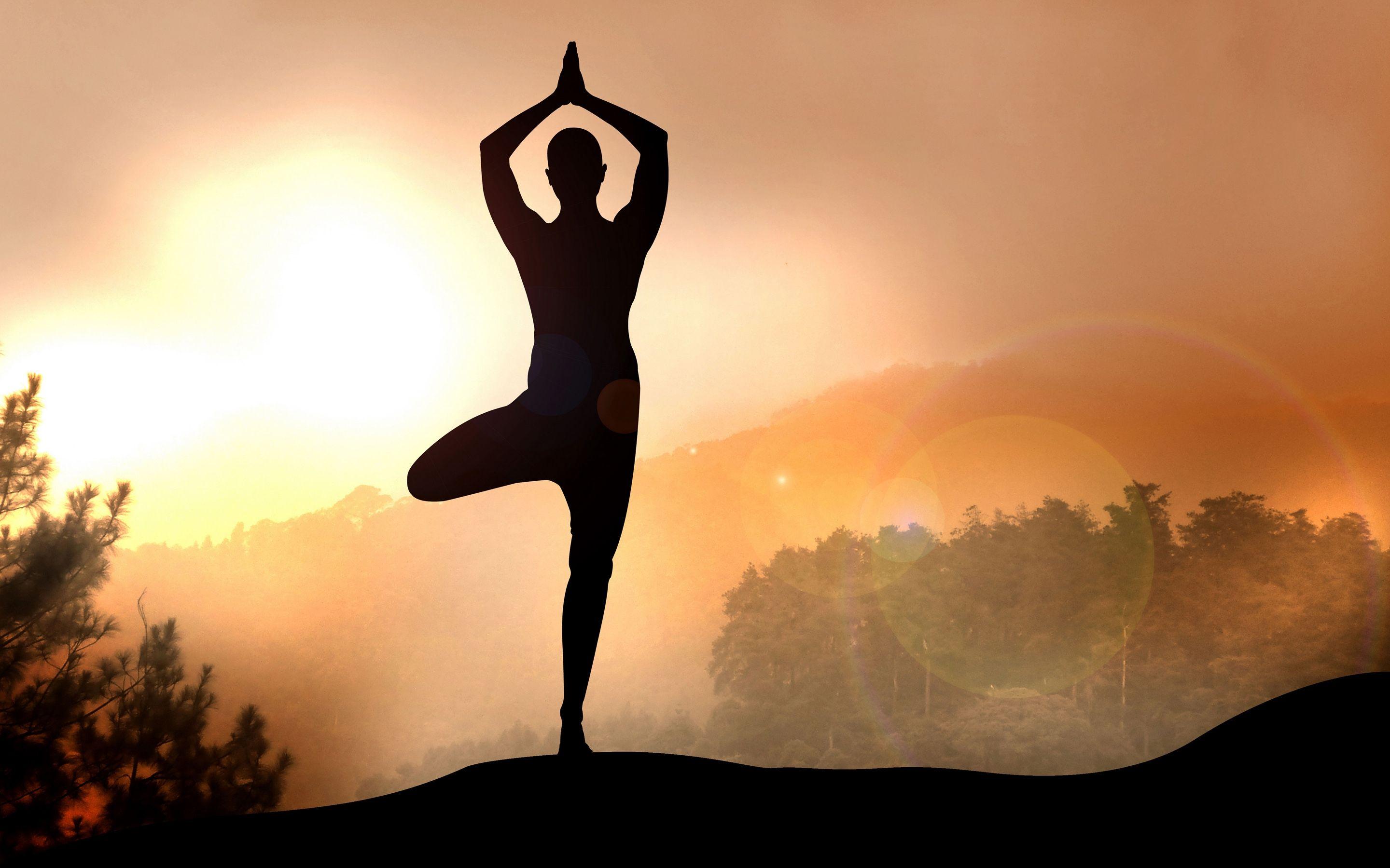 Những hình ảnh yoga đẹp mắt sẽ giúp bạn tận hưởng toàn bộ trải nghiệm của môn yoga. Tự tin và thư giãn hơn với những bài tập yoga, cảm nhận được sự thanh lịch, êm ái và duyên dáng.