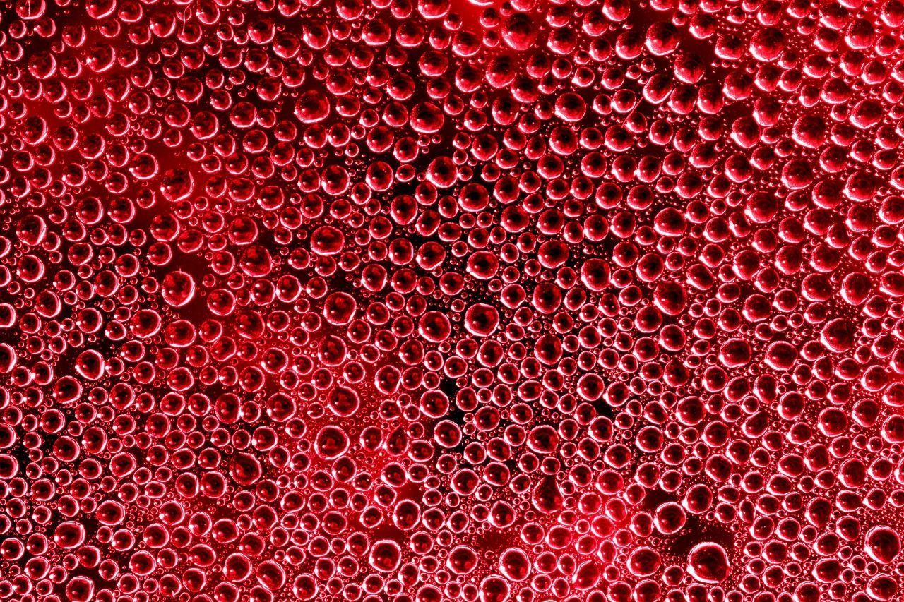 1280x853 Free Trypophobia & Phobia Image