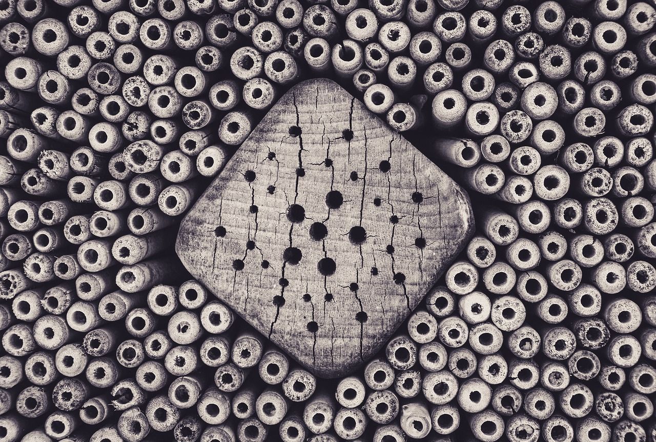1280x862 Free Trypophobia & Phobia Image