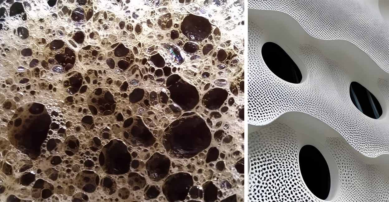 1248x650 Trypophobia: Disgust, distress