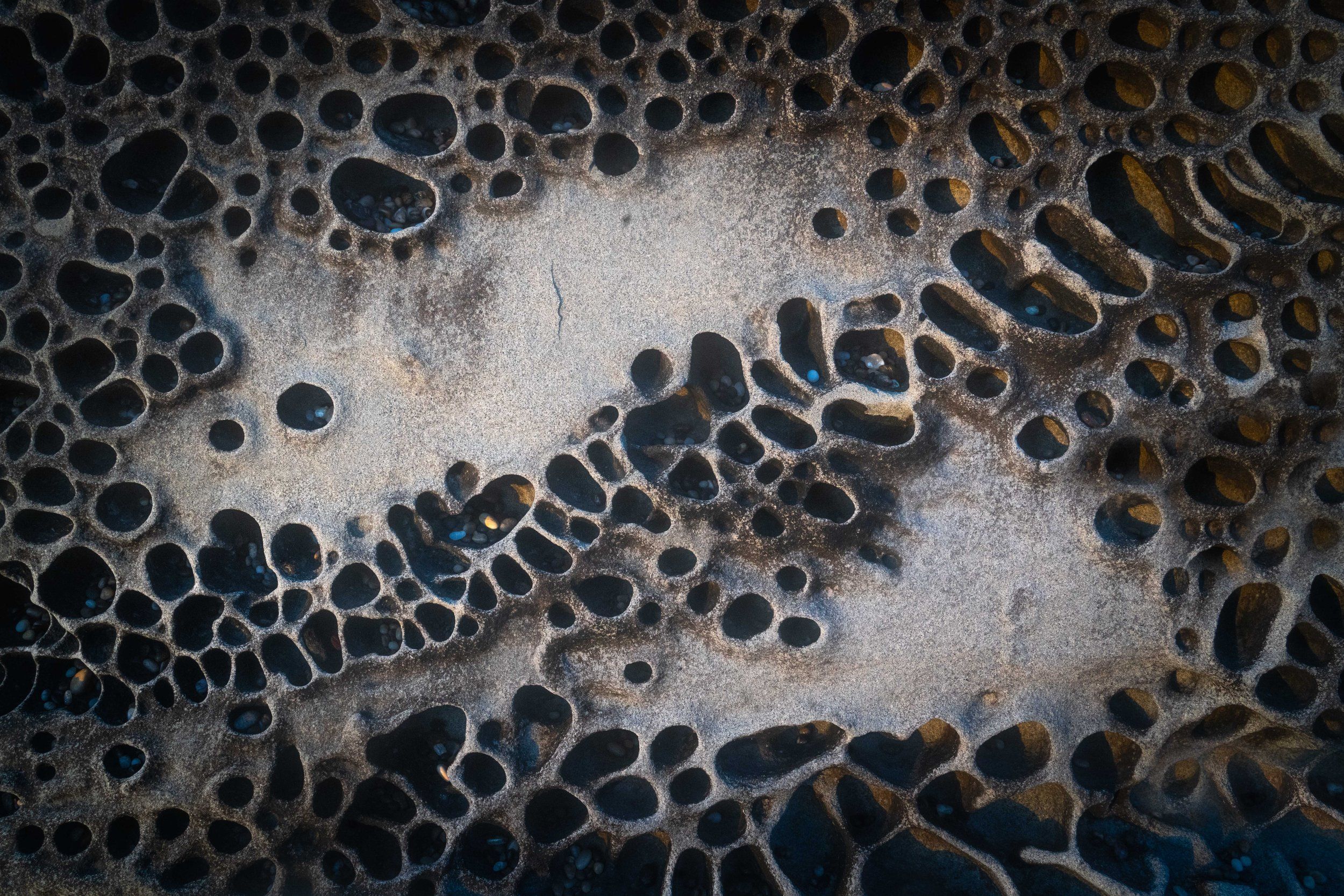 2500x1668 Bean Hallow