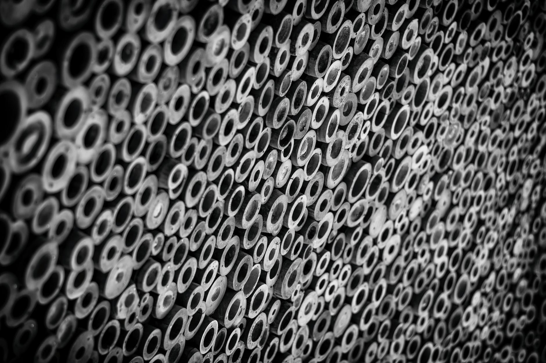 1880x1253 Trypophobia. Amanda M. Blake