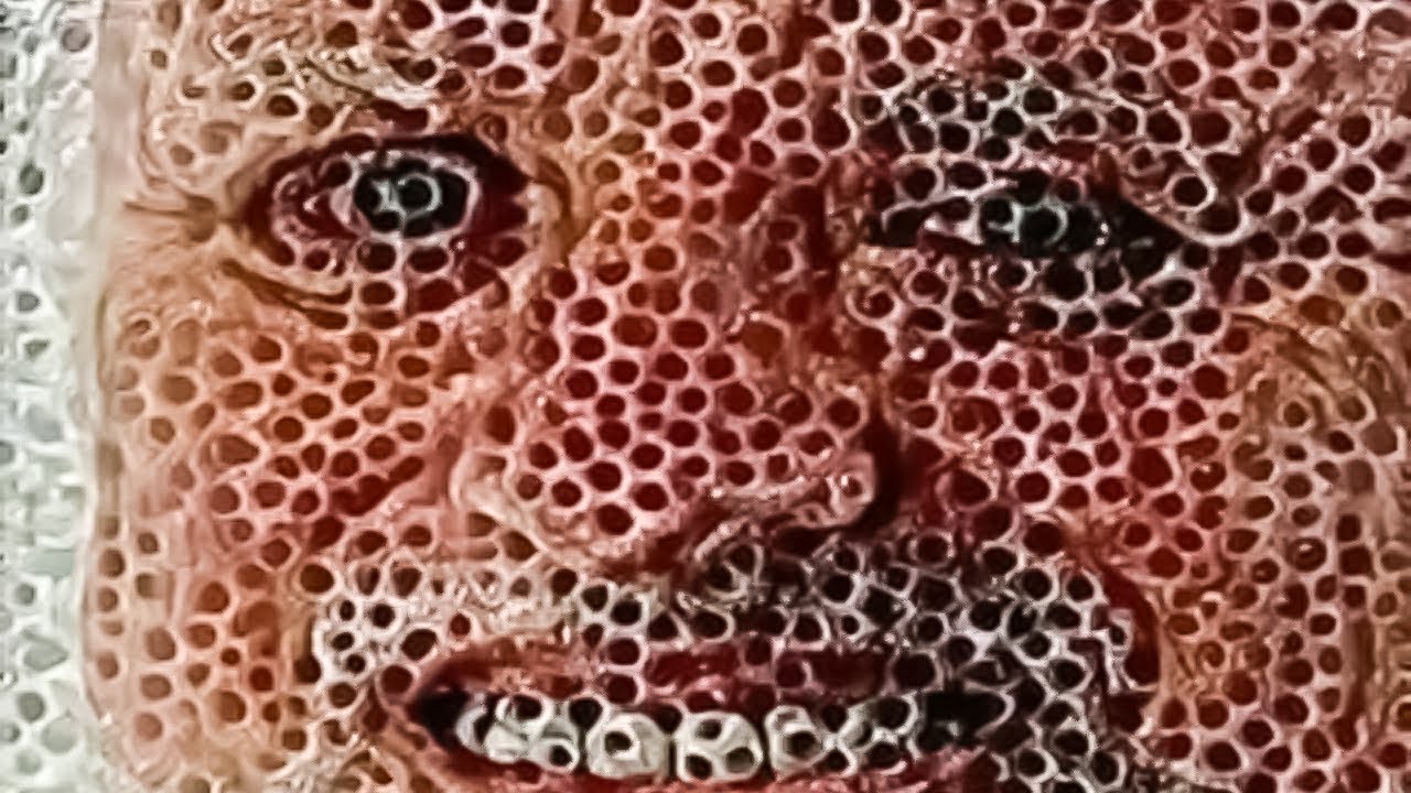 1280x720 image of holes (Trypophobia)
