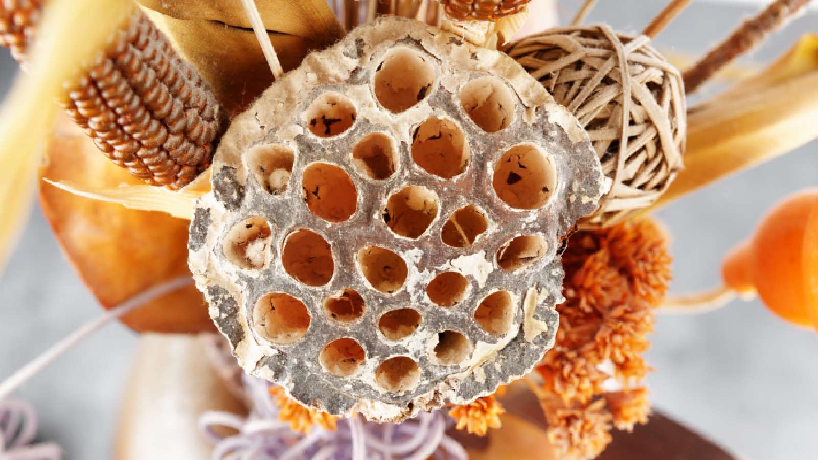 1600x900 Trypophobia or fear of holes:: Symptoms