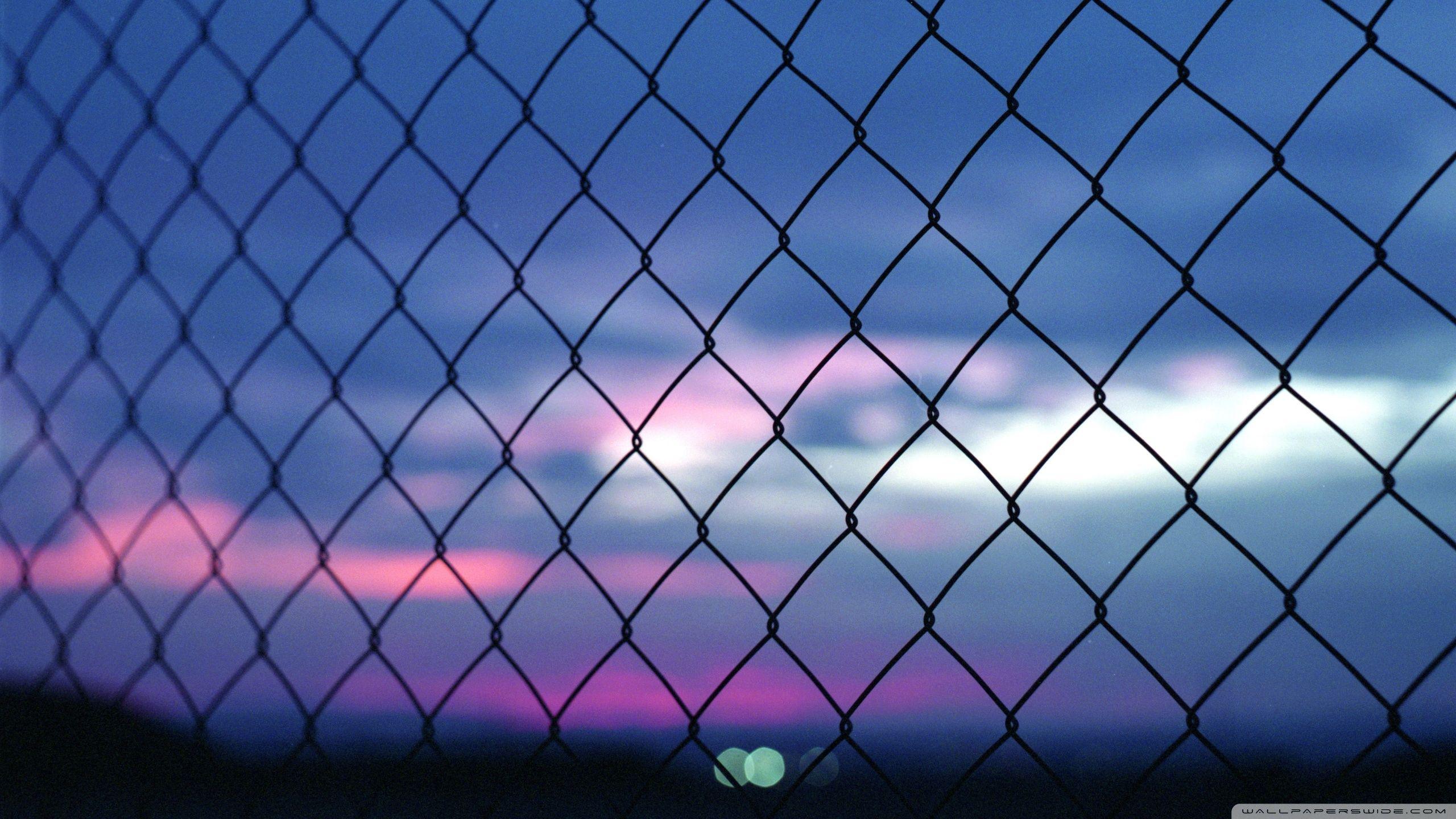 2560x1440 Fence Bokeh ❤ 4K HD Desktop Wallpaper for 4K Ultra HD TV