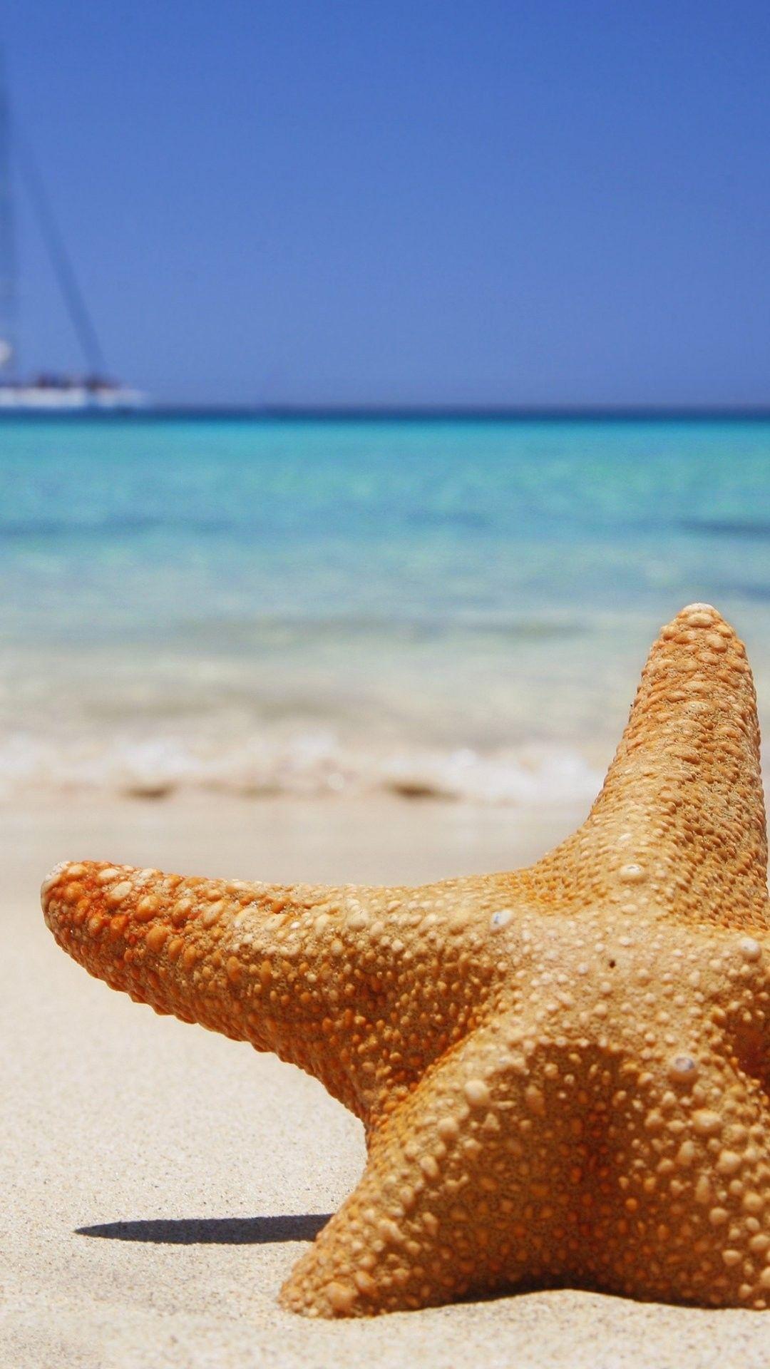 1080x1920 Beach iPhone 6 Plus Wallpaper 13056 iPhone 6 Plus Wallpaper