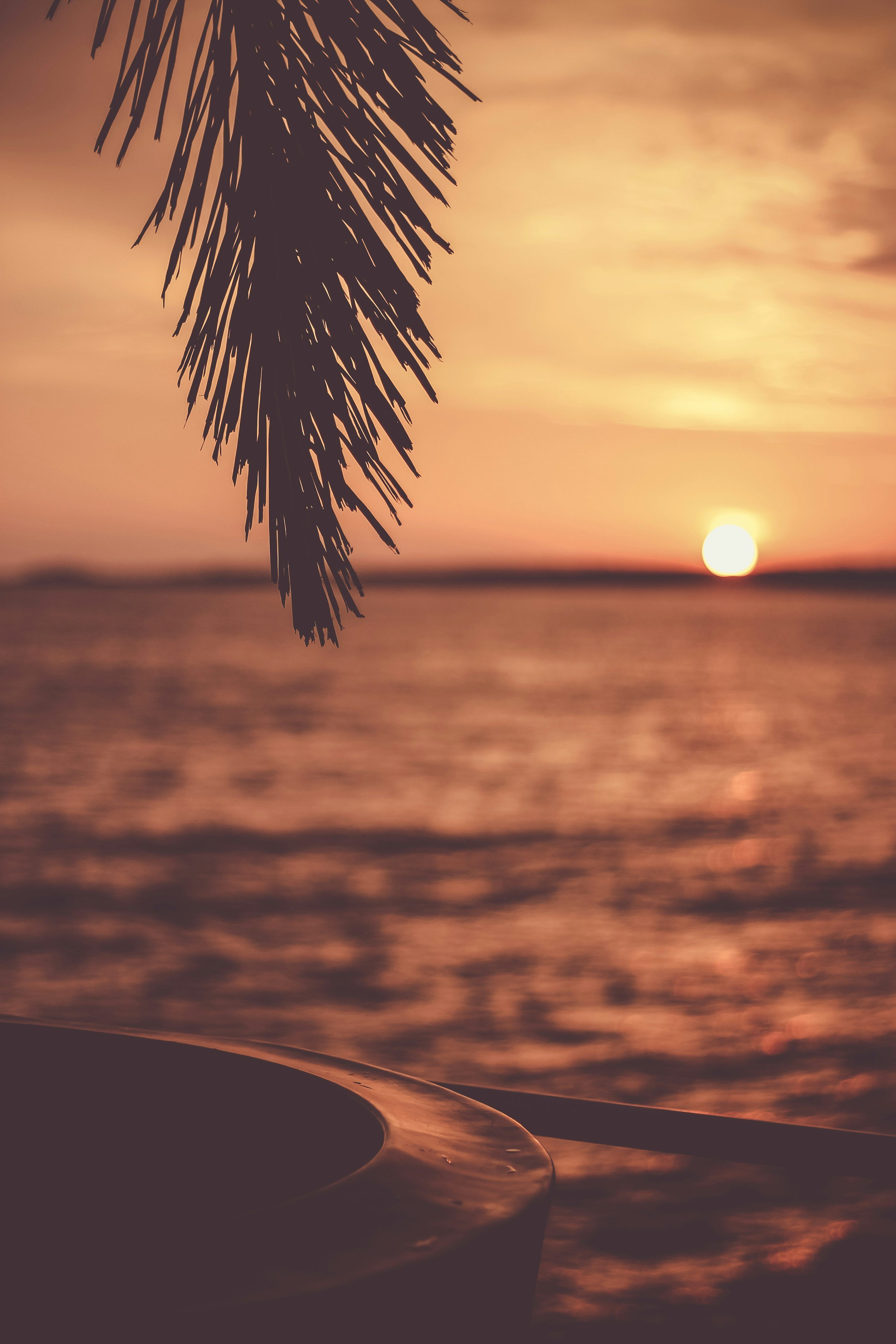 3000x4500 Stunning Tropical Sunset Picture