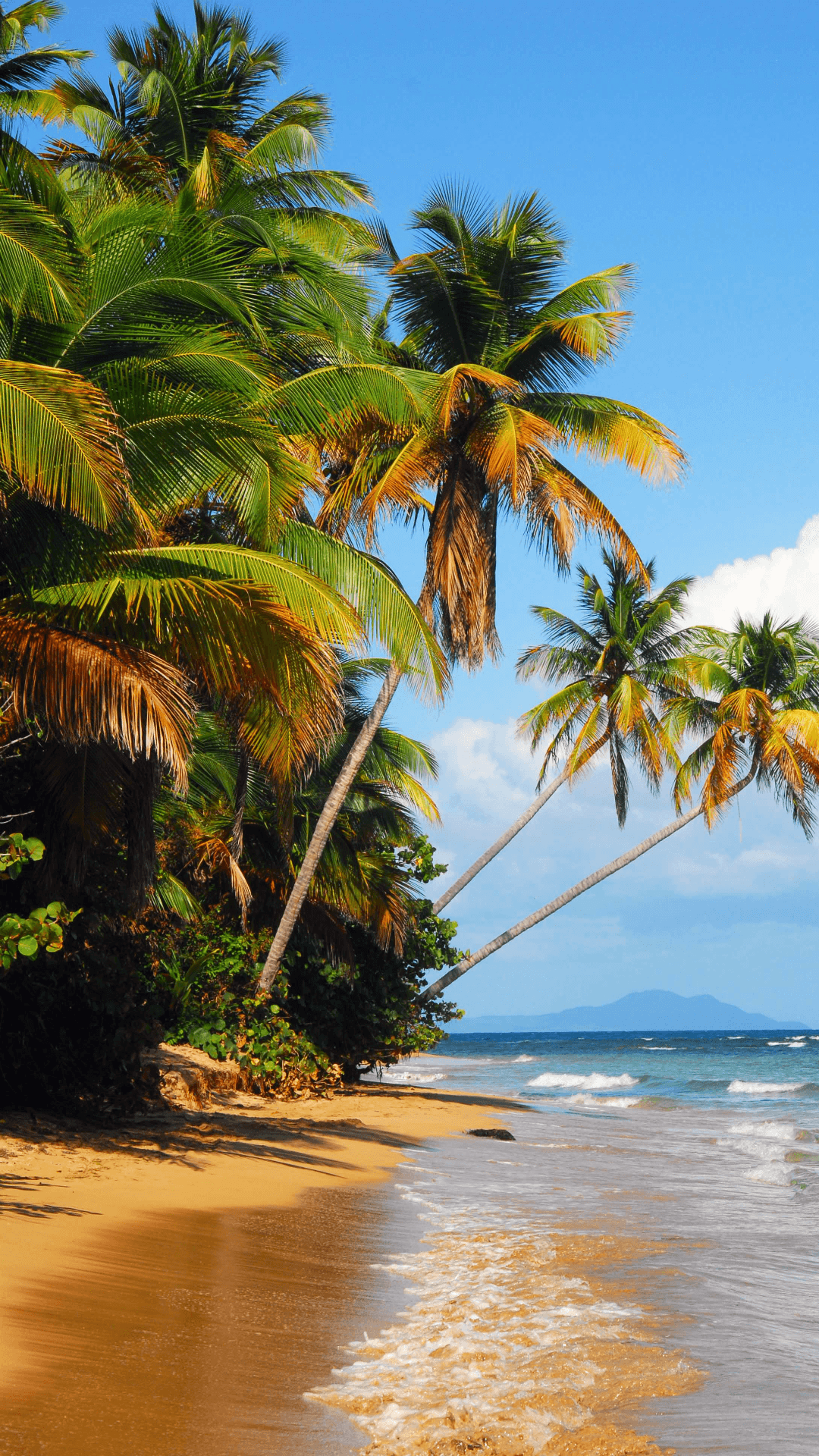 1080x1920 Puerto Rico Beach iPhone 6 Plus Wallpaper (1080x1920)