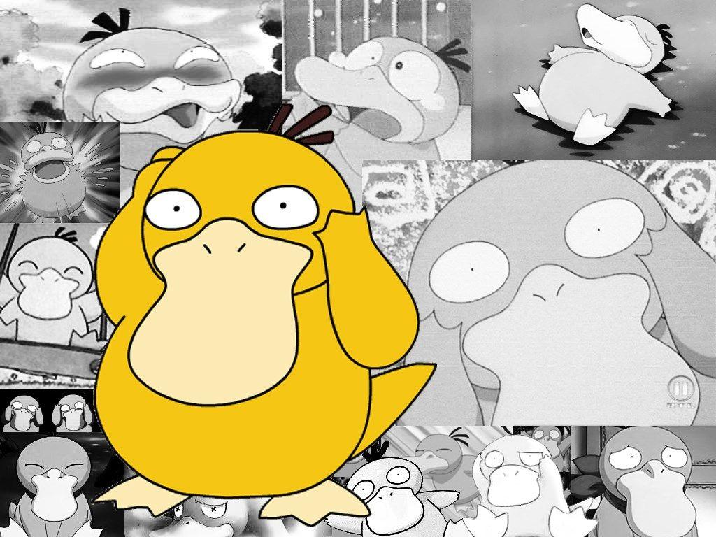 Psyduck Wallpapers - Top Free Psyduck Backgrounds - WallpaperAccess