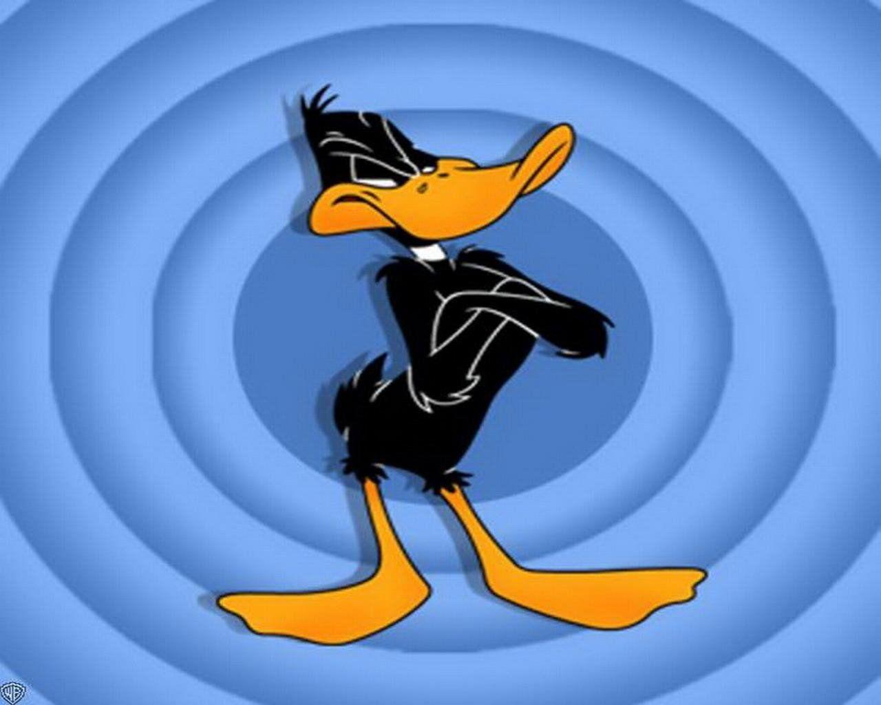 1280x1024 daffy duck Wallpaper and Background Imagex1024