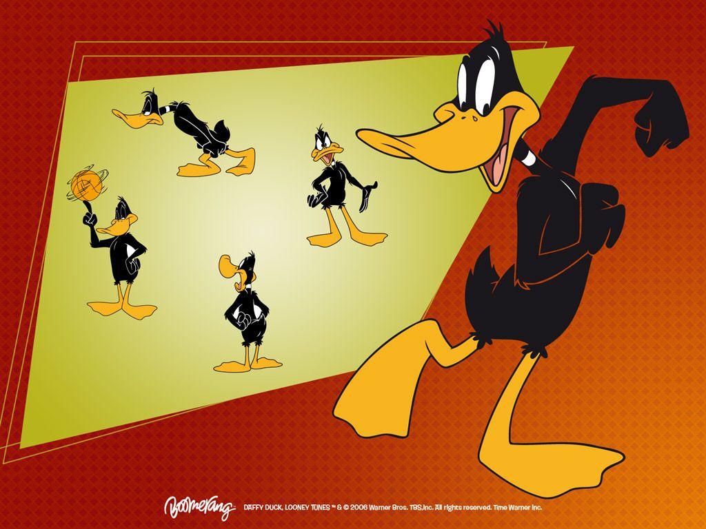 1024x768 Daffy Duck Wallpaper 16 X 768