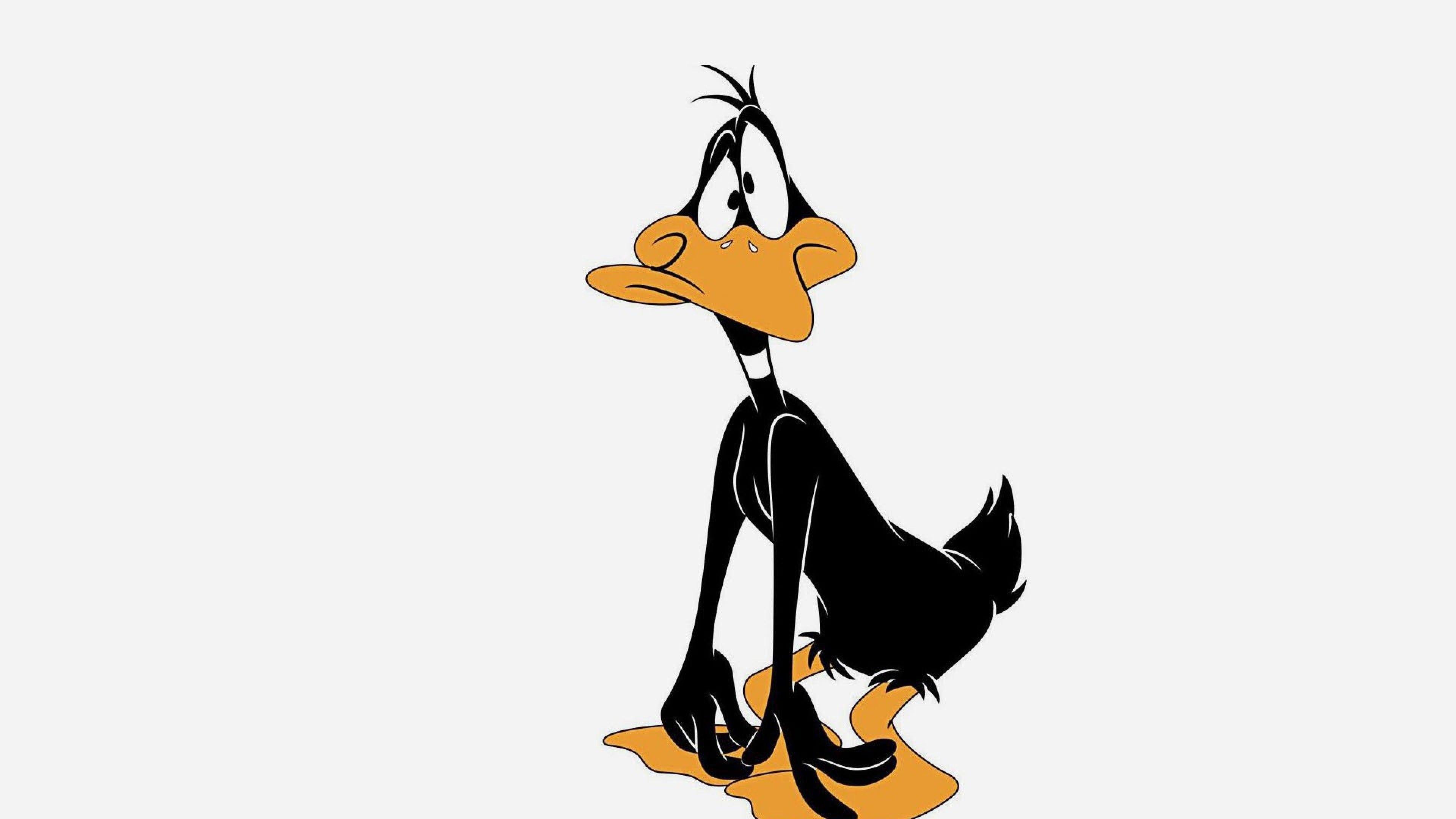 3840x2160 Daffy Duck Wallpaper