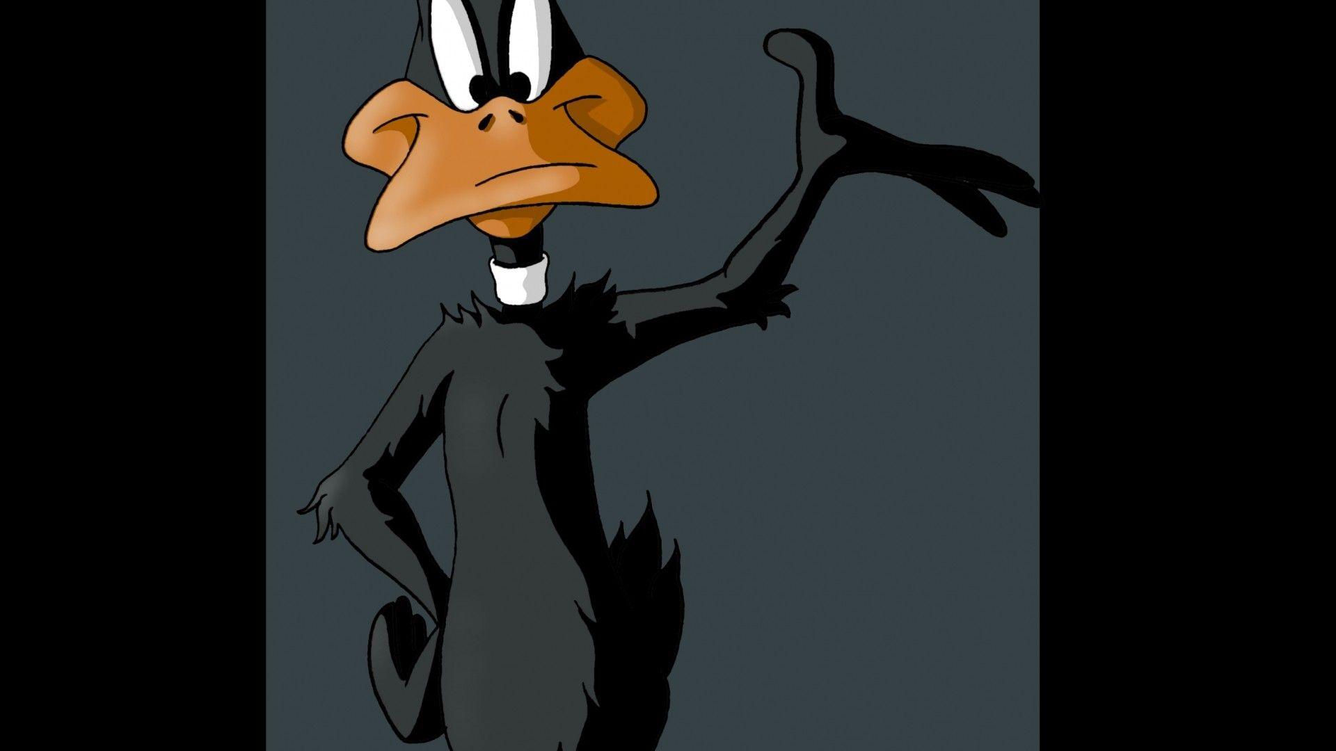 Daffy Duck Wallpapers Top Free Daffy Duck Backgrounds Wallpaperaccess