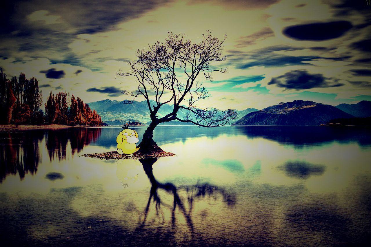 1280x853 Psyduck on a Lake HD Wallpaper Wallpaper HD