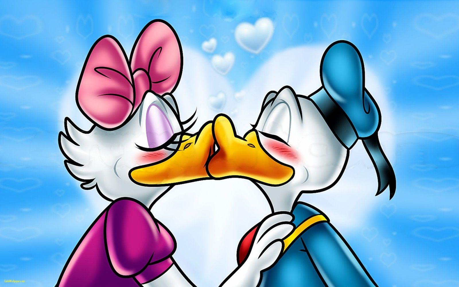 1600x1000 Donald duck wallpaper Gallery. Beautiful and Interesting