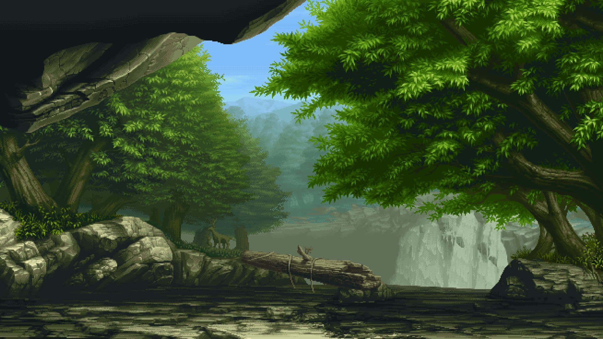 1920x1080 Download free At The Tranquil Forest Lo
