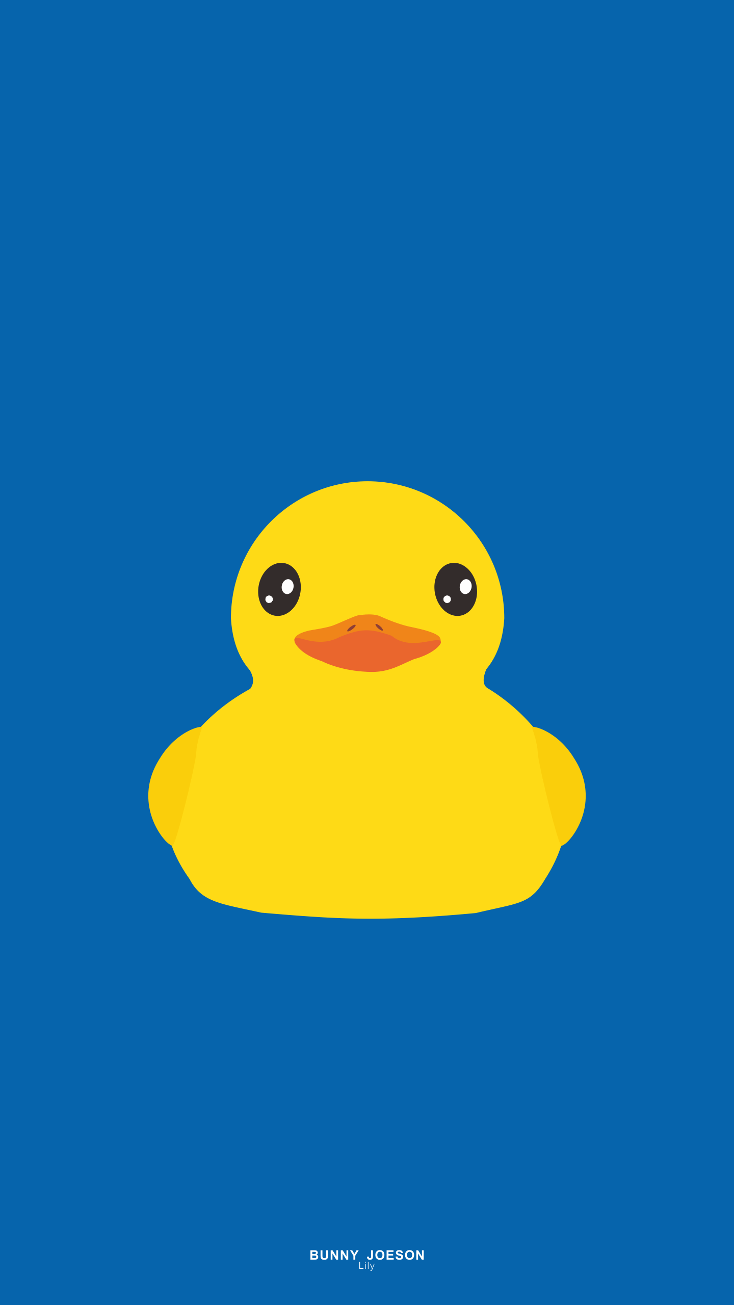 Download Duck Wallpaper