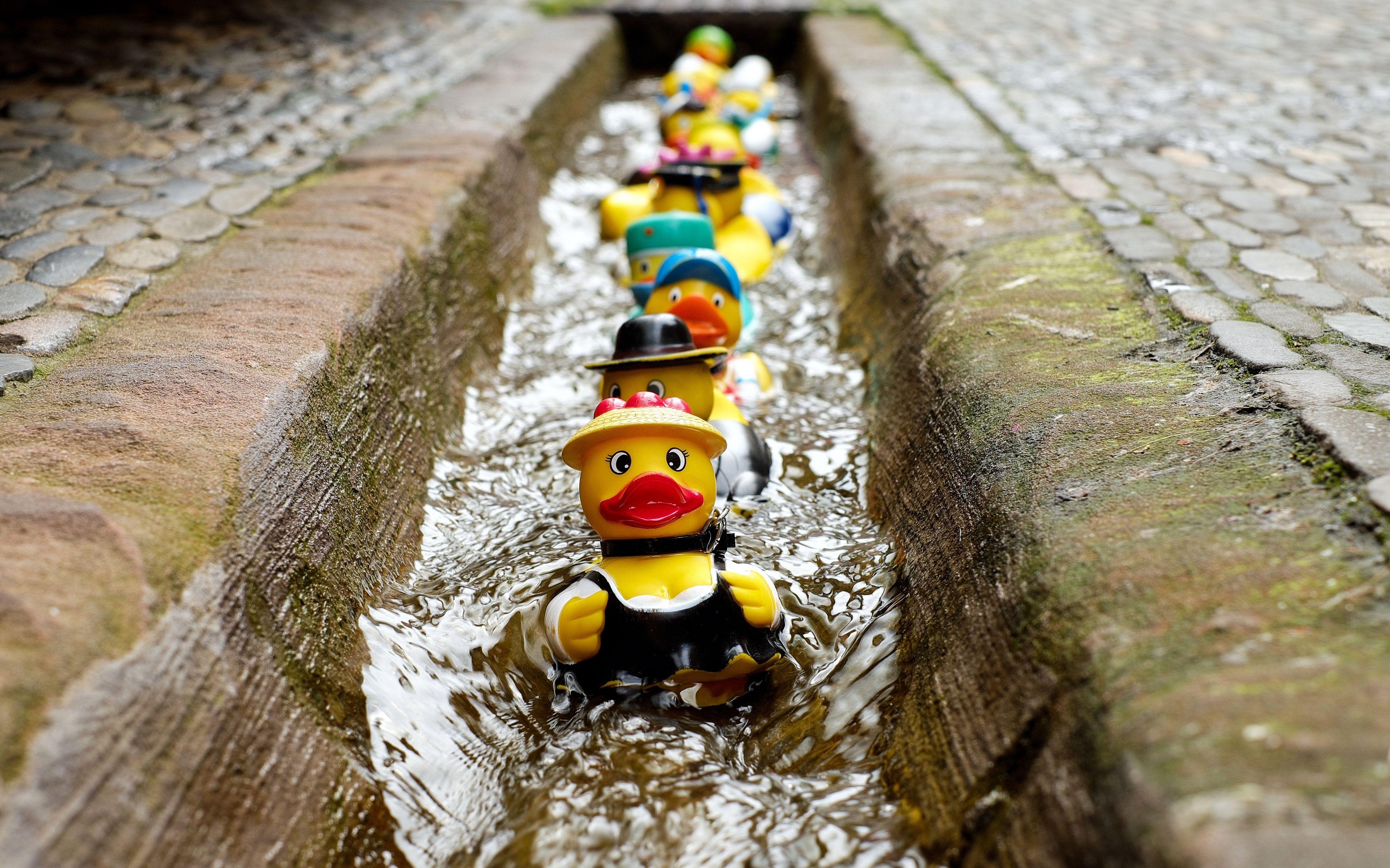 Rubber Duck Wallpapers - Top Free Rubber Duck Backgrounds - WallpaperAccess