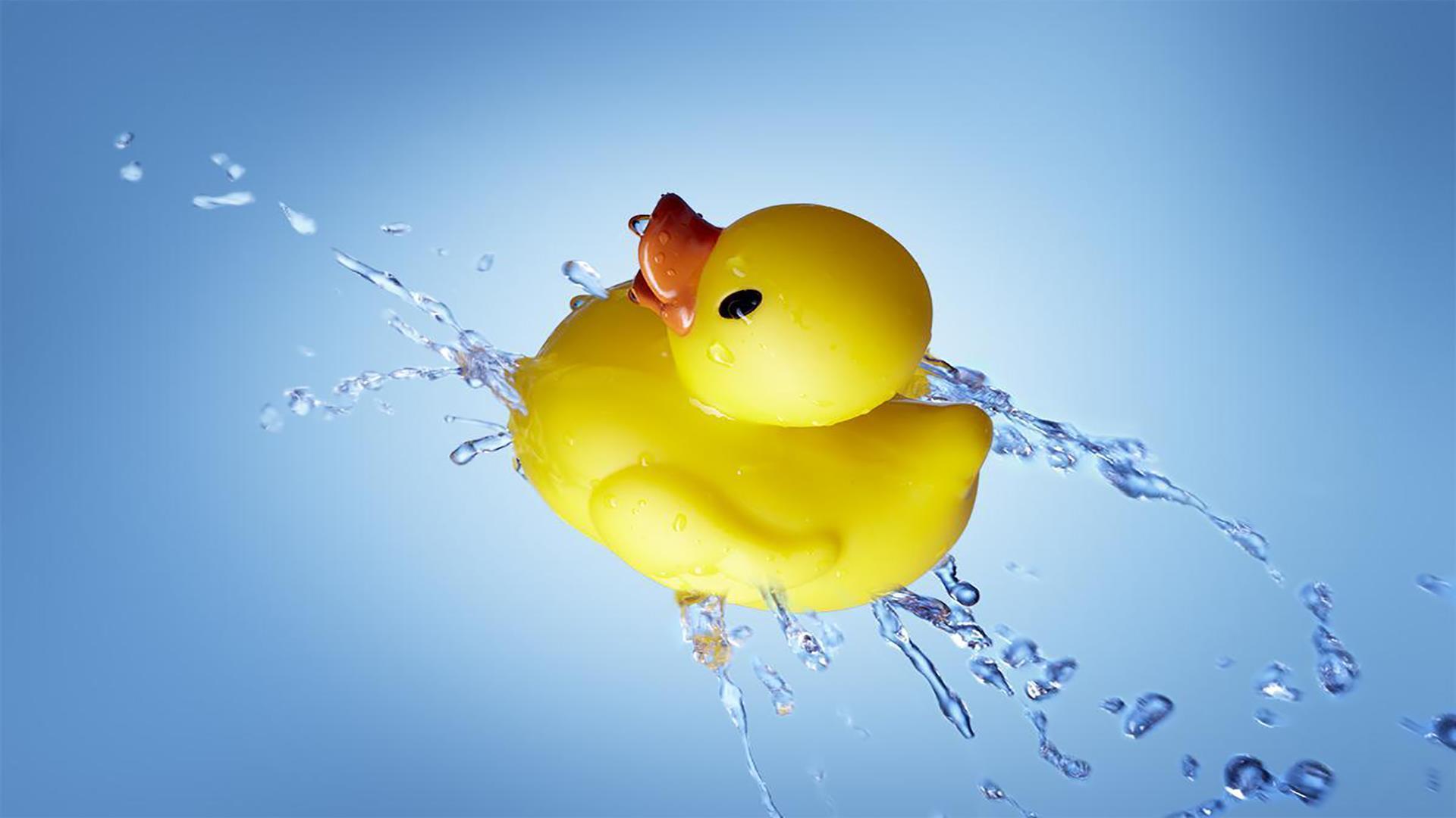 Rubber Duck Wallpapers - Top Free Rubber Duck Backgrounds - WallpaperAccess