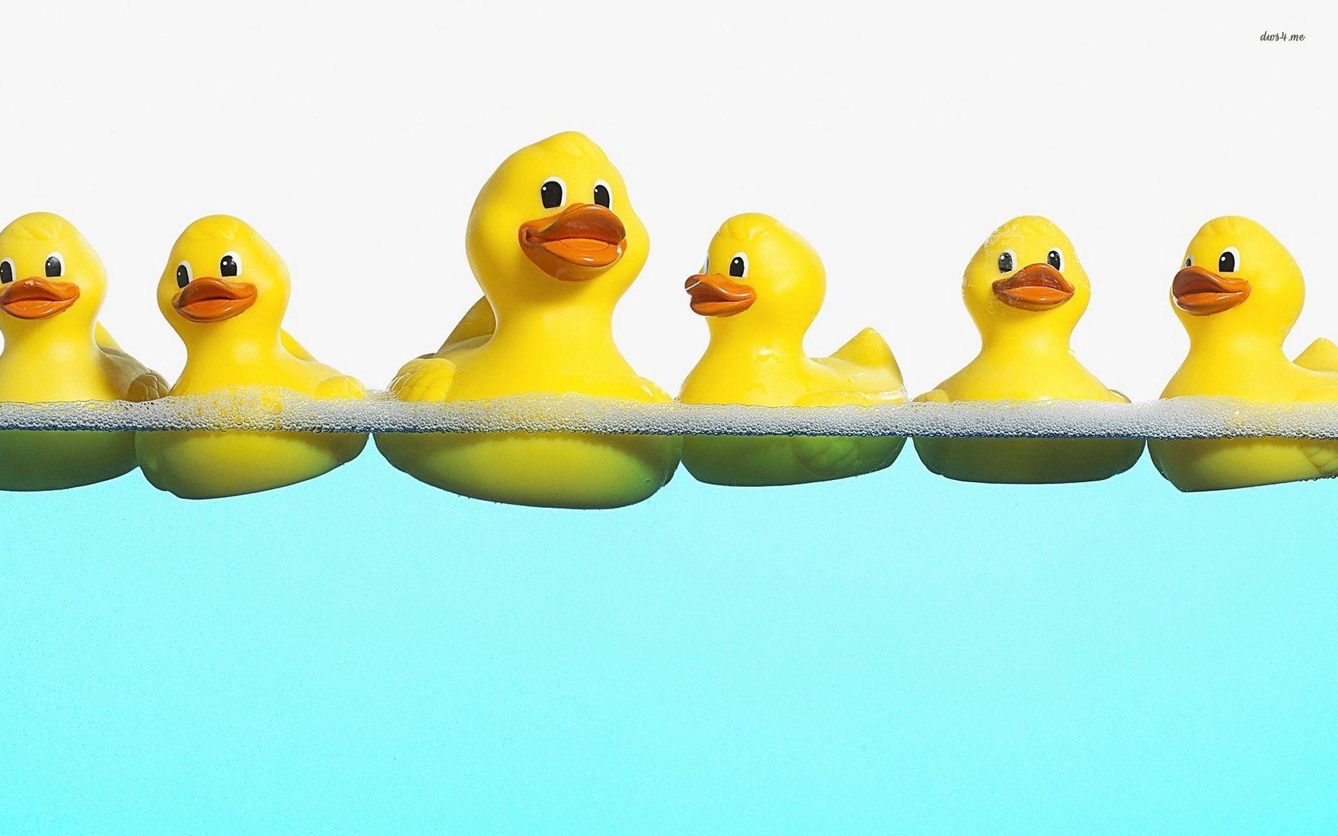 Rubber Duck Wallpapers - Top Free Rubber Duck Backgrounds - WallpaperAccess