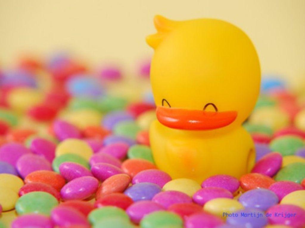 1024x768 Cartoon Duck Wallpaper
