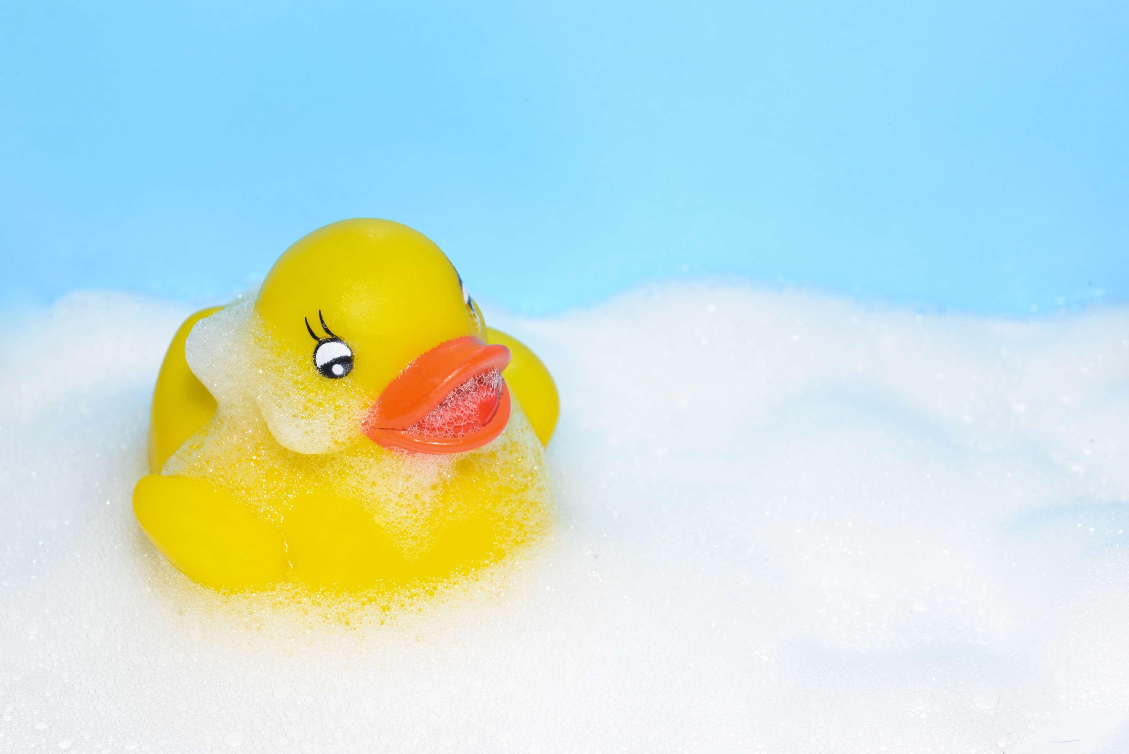 Rubber Duck Wallpapers - Top Free Rubber Duck Backgrounds - WallpaperAccess