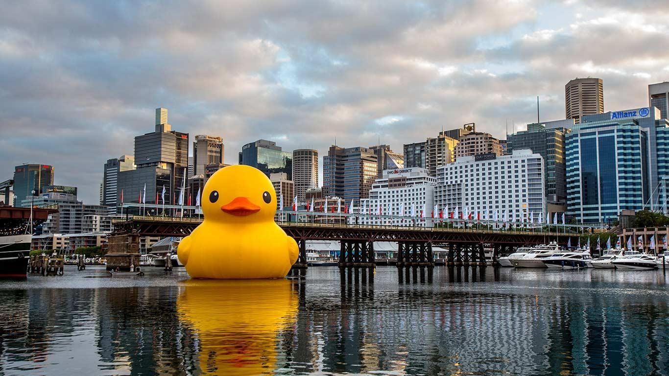 1366x768 Rubber Duck Wallpaper- Wallperio.com™