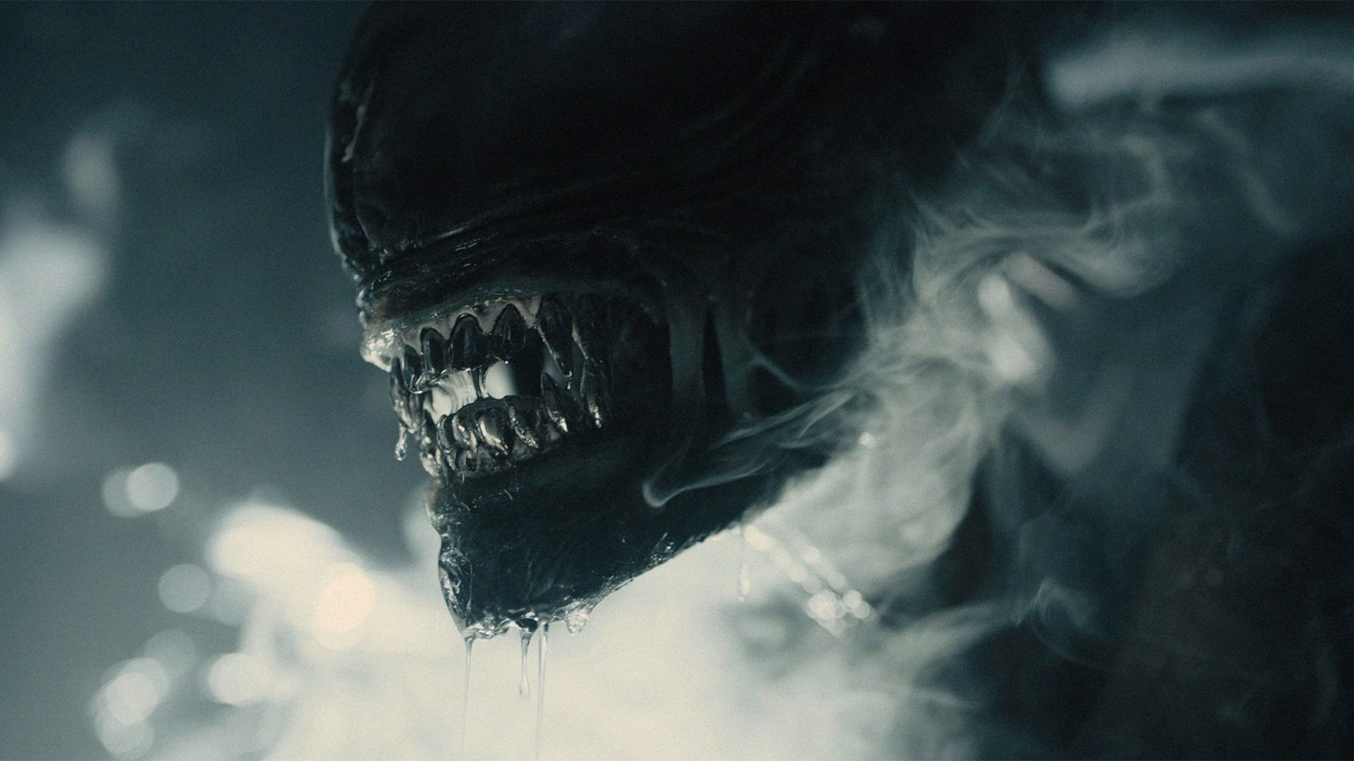 1920x1080 Alien: Romulus' Cares, Scares