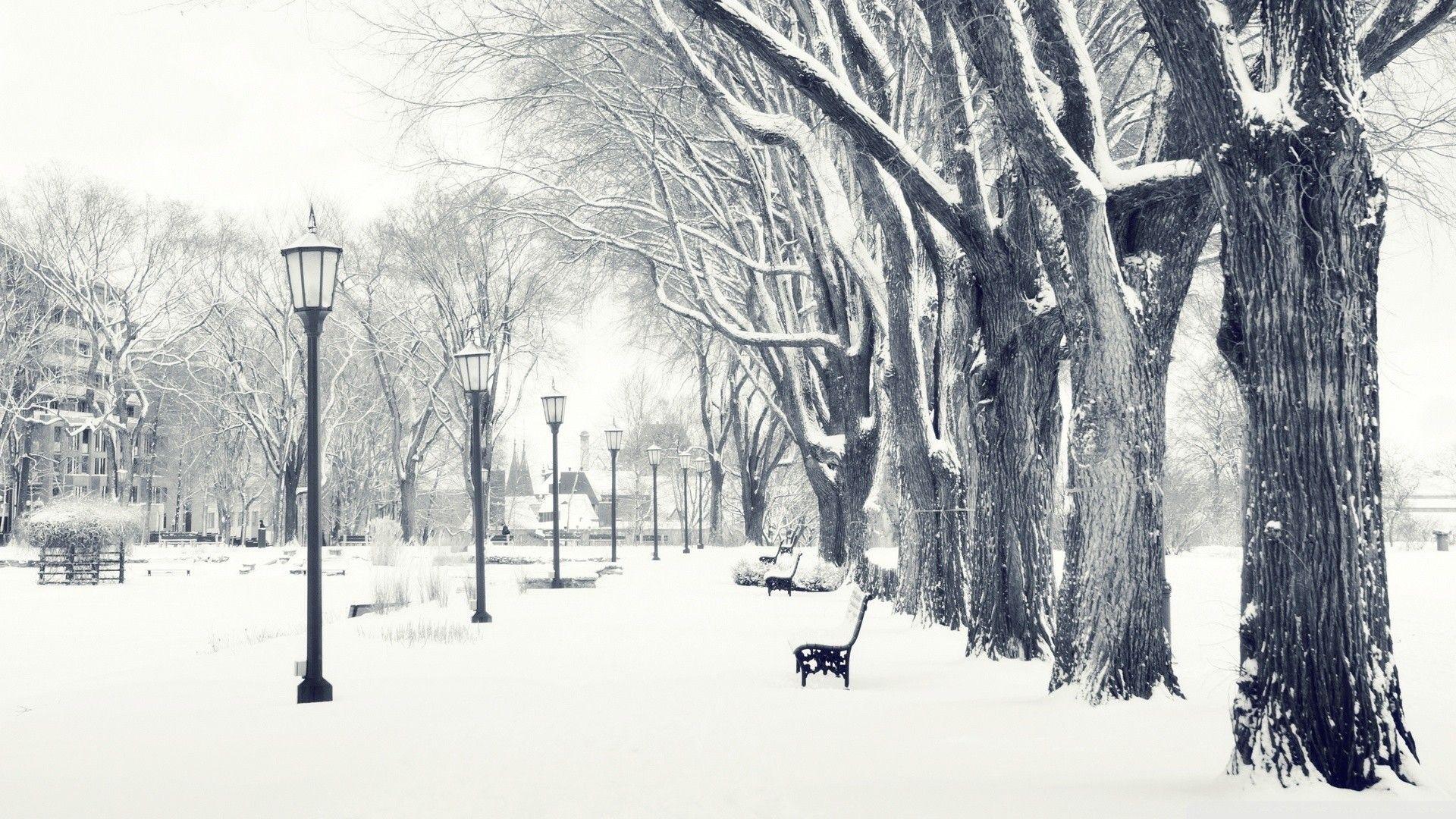 Black and White Winter Wallpapers - Top Free Black and White Winter  Backgrounds - WallpaperAccess