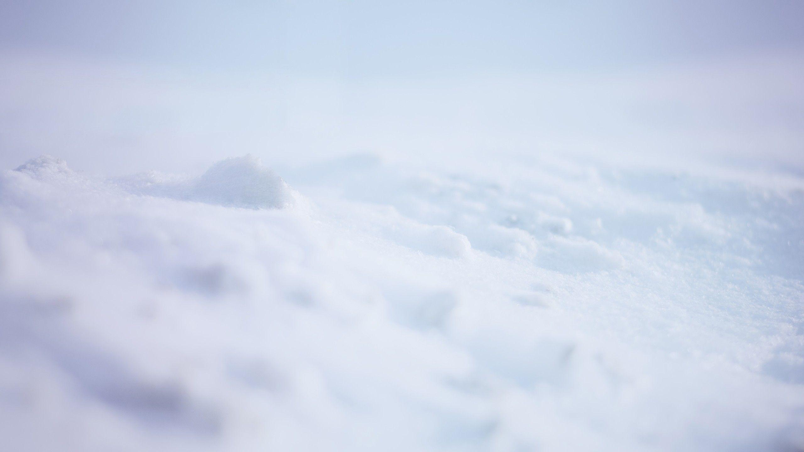 2560x1440 Snow Background wallpaperx1440