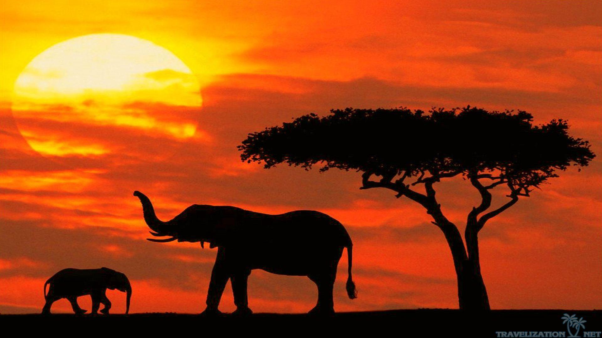 Kenya Wallpapers - Top Free Kenya Backgrounds - WallpaperAccess