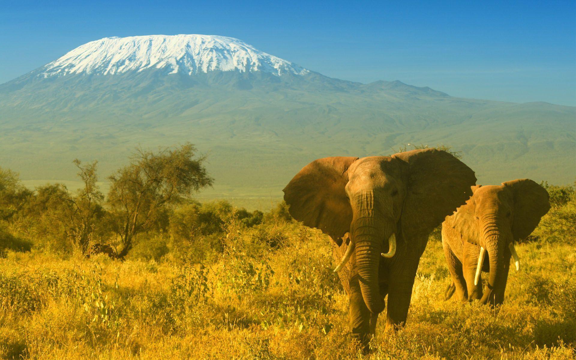 1920x1200 Kenya Wallpaper