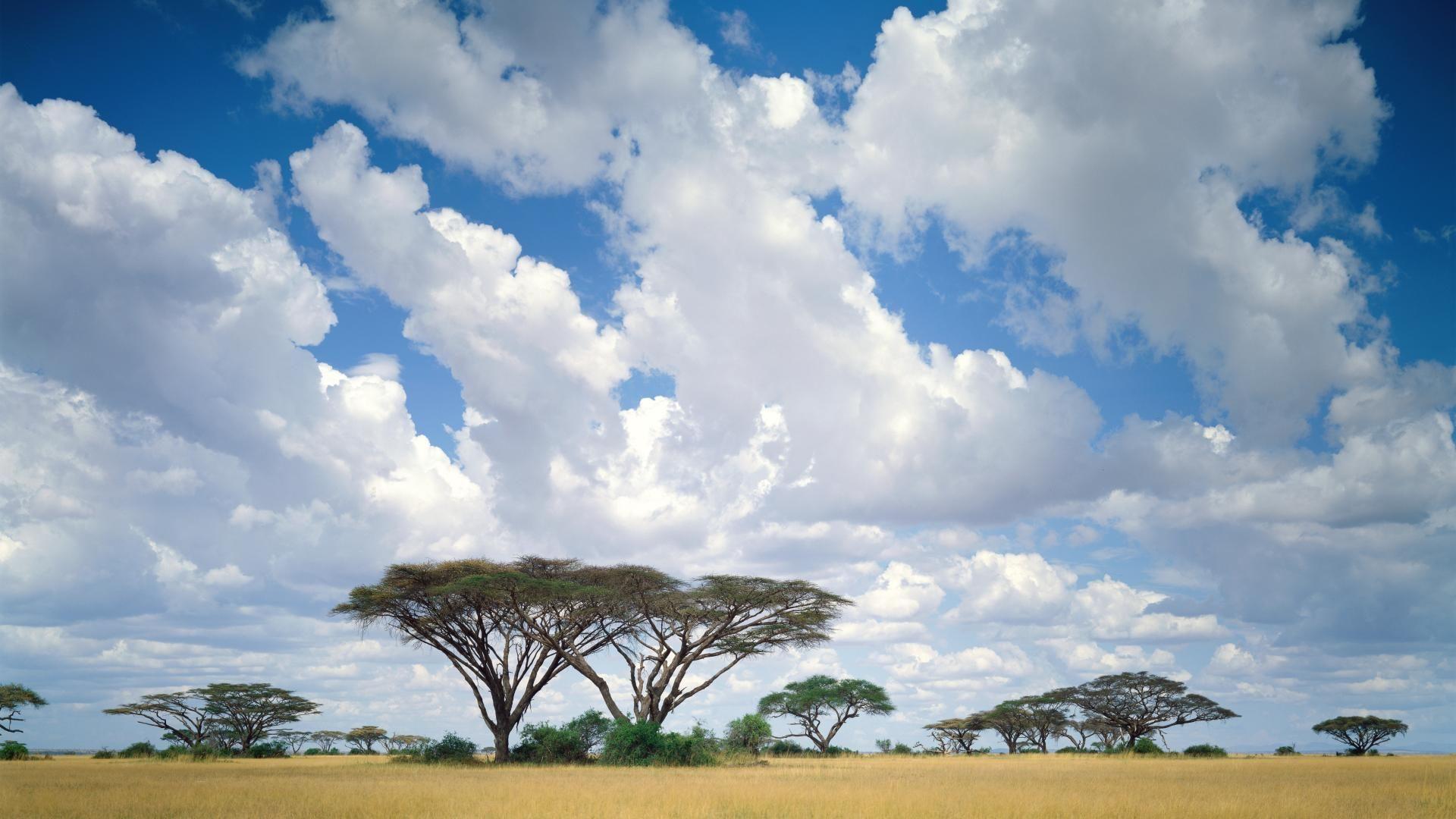 1920x1080 Kenya Wallpaper 1920×1200 Kenya Wallpaper 41 Wallpaper