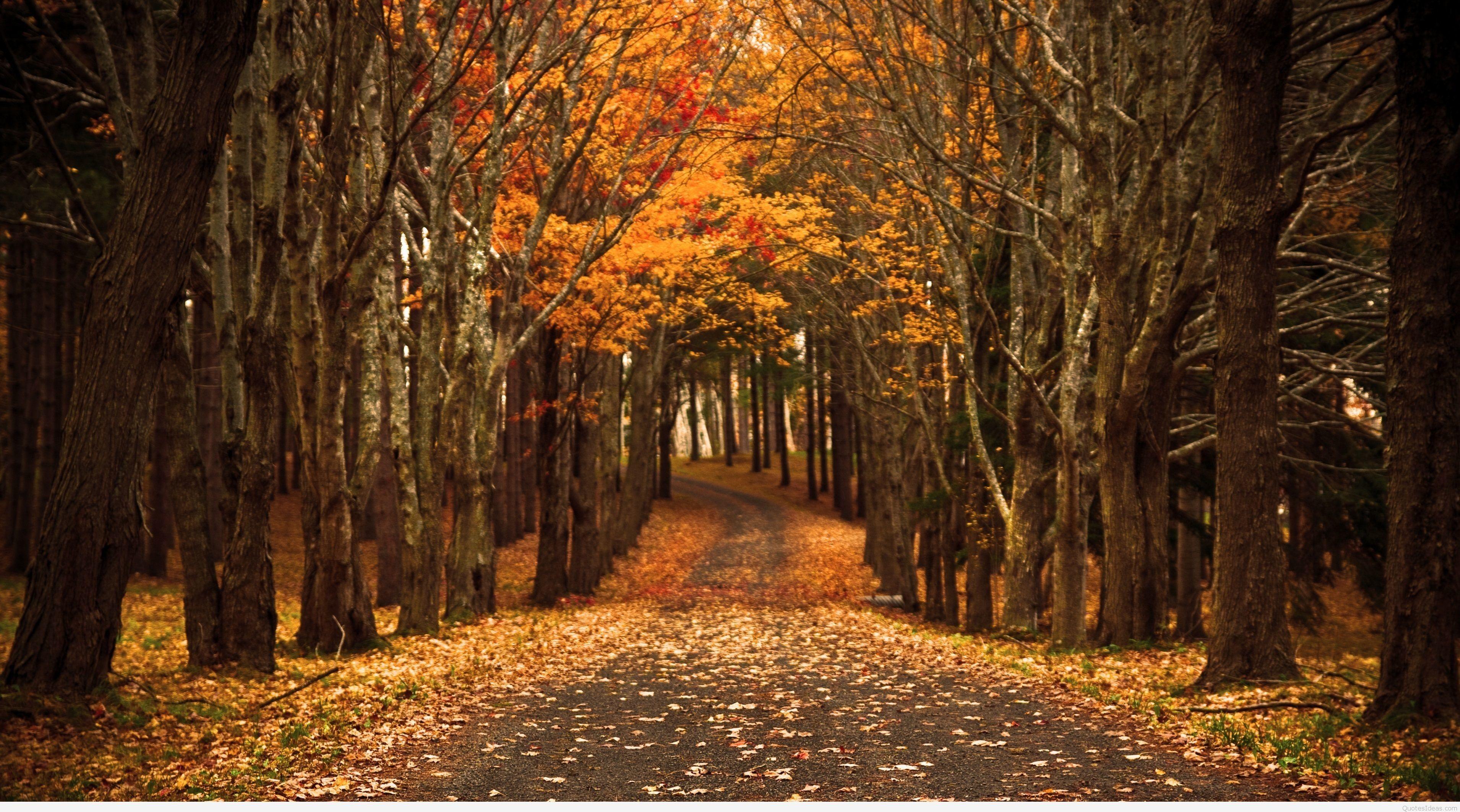 3820x2125 HD Autumn Wallpaper