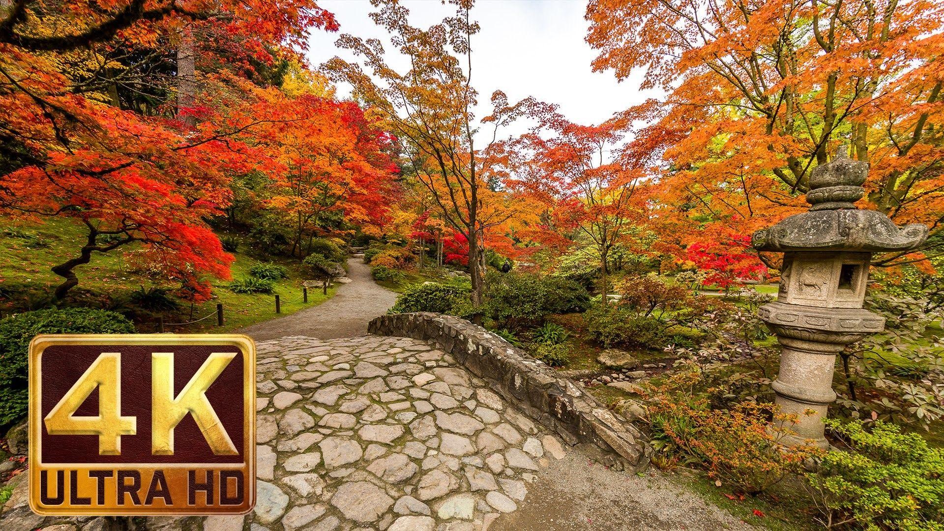 1920x1080 4K Nature Wallpaper Spring Japan