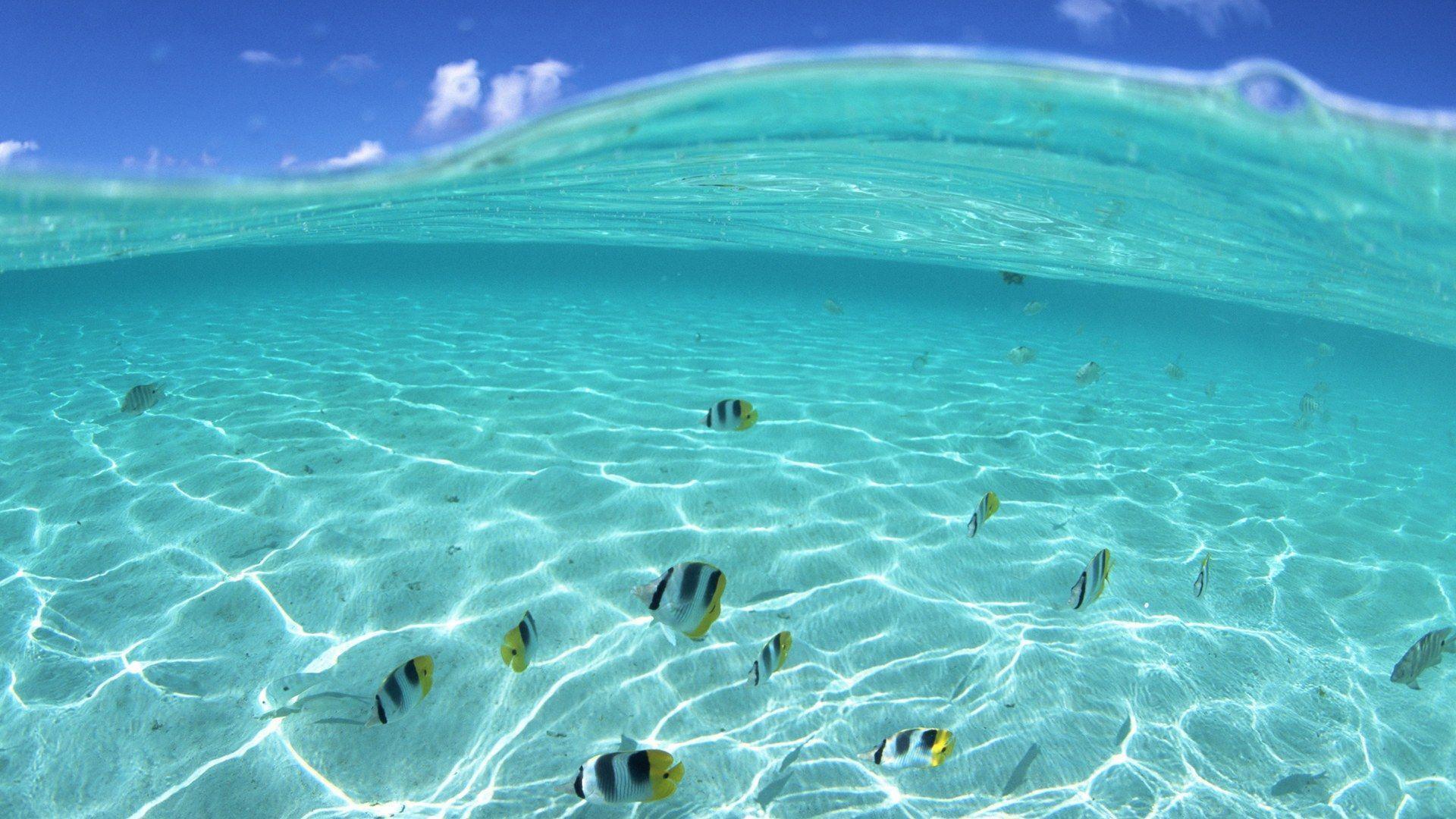 1920x1080 Aquamarine Wallpaper