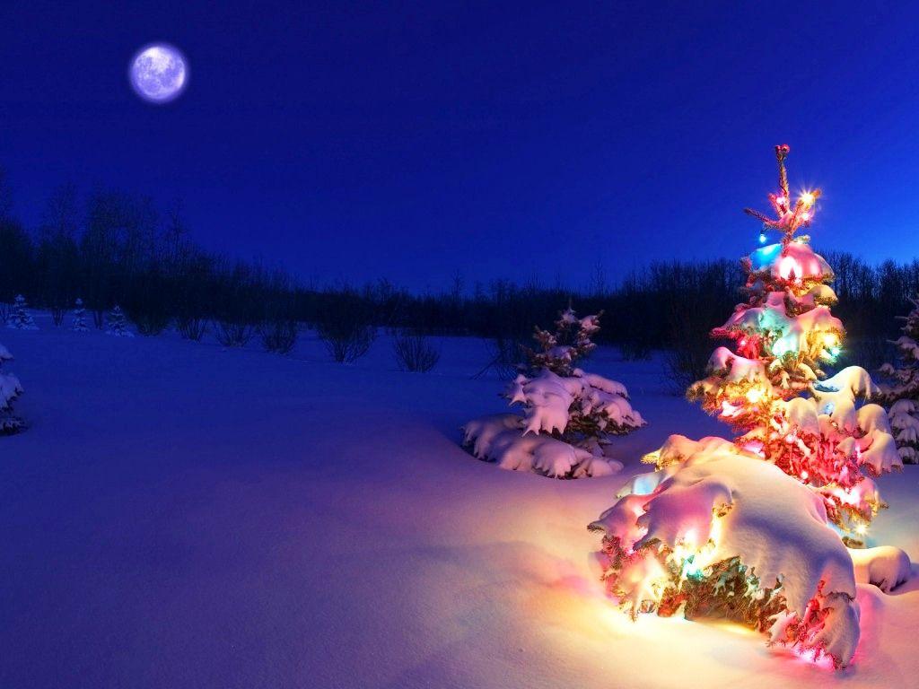 Hình nền  hình minh họa tuyết làng Cây thông Giáng sinh Giáng Sinh  đèn Giáng sinh Ảnh chụp màn hình Hình nền máy tính Trang trí giáng sinh  2560x1440  Jeko98 