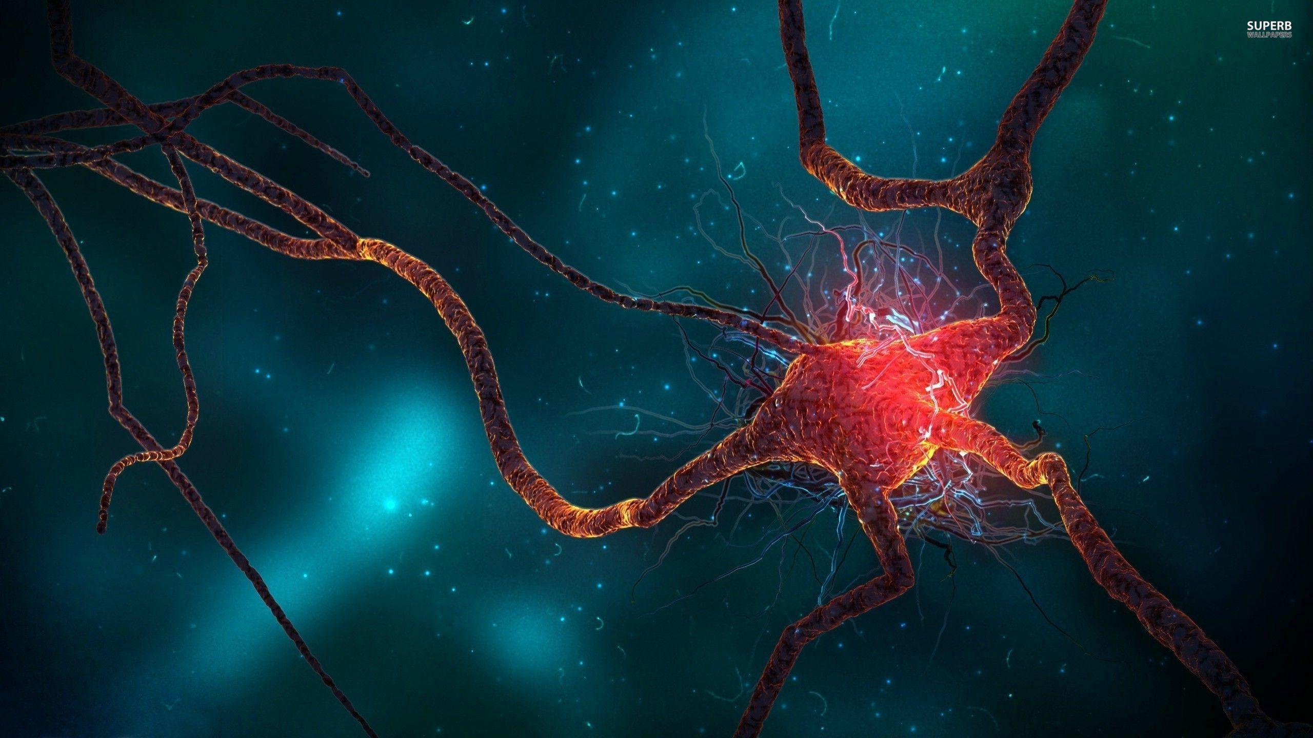 2560x1440 share your wallpaper here. Microsoft Surface Forums