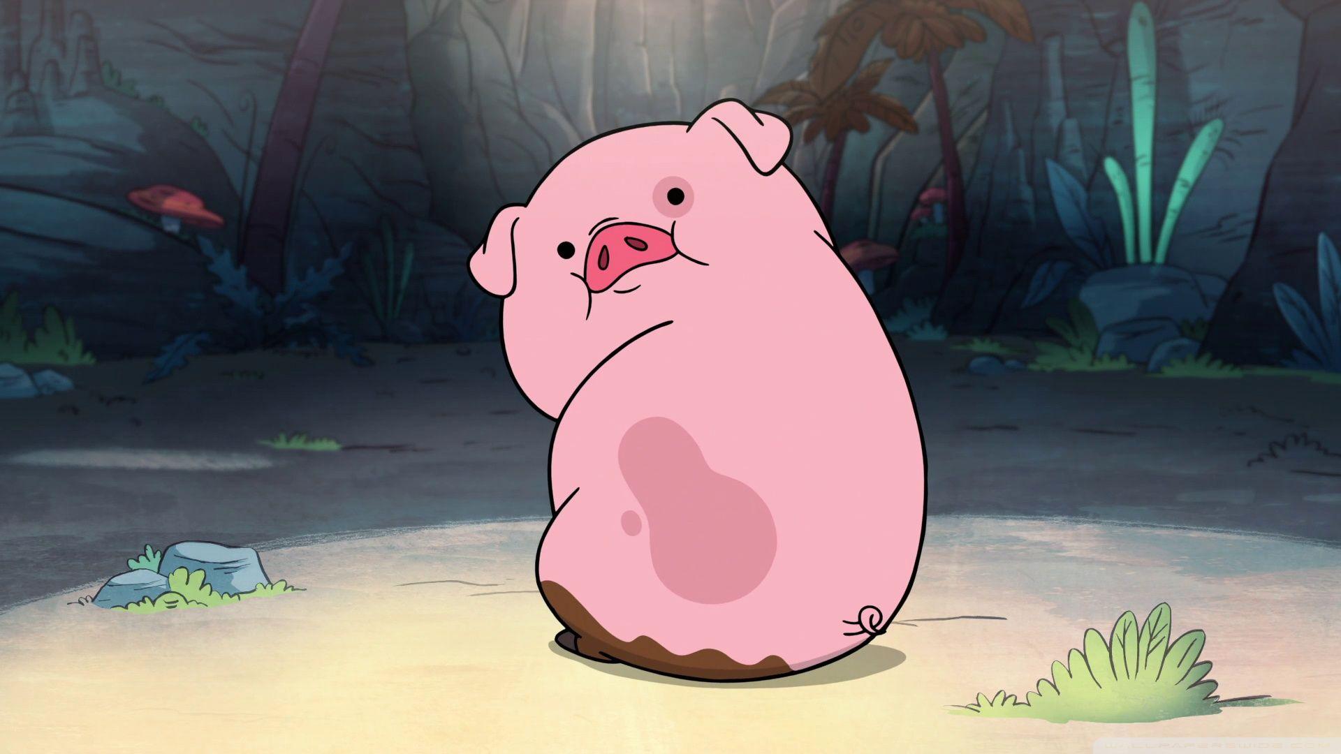 1920x1080 Cute Funny Piggy ❤ 4K HD Desktop Wallpaper for 4K Ultra HD