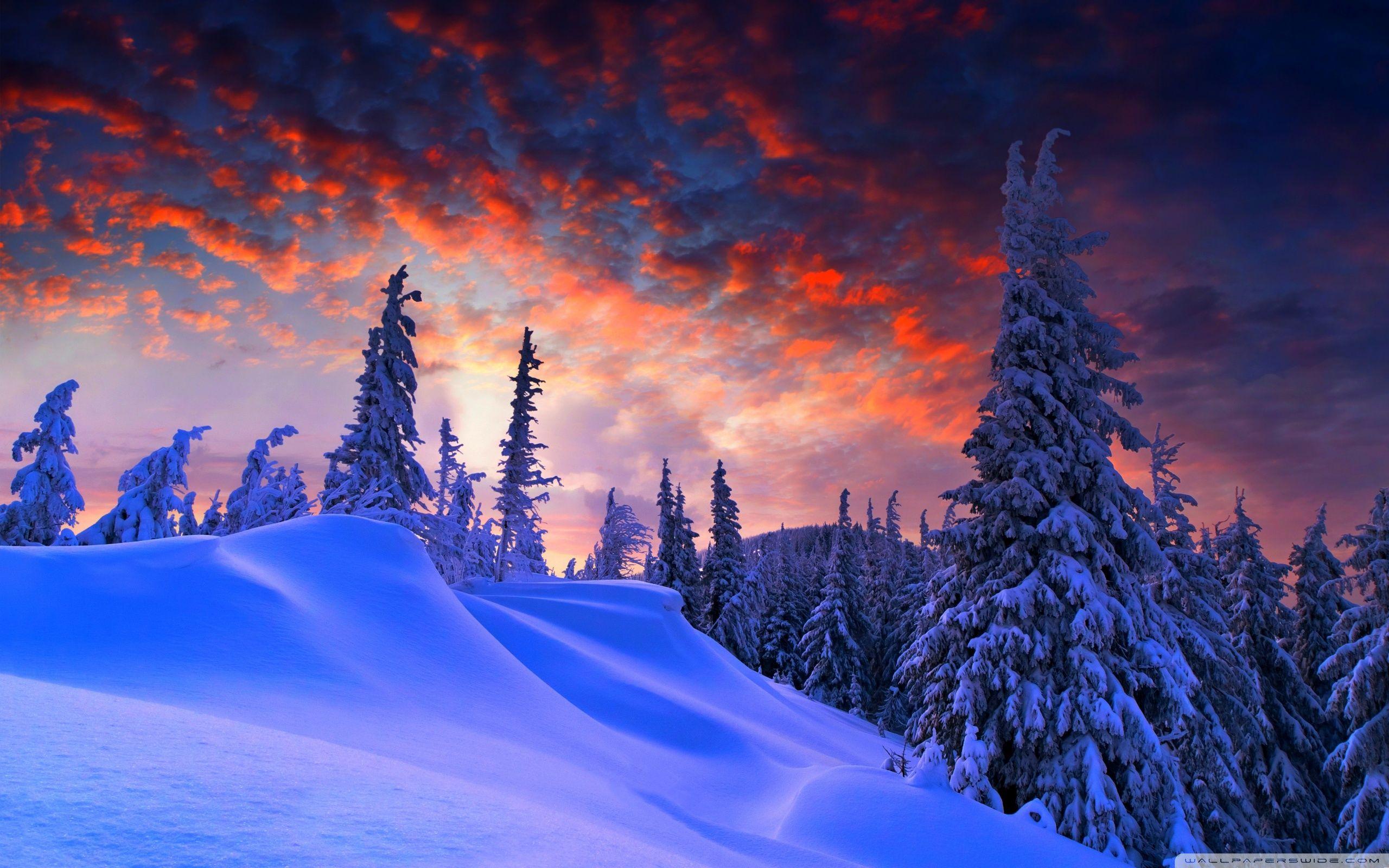 2560x1600 Winter Wallpaper