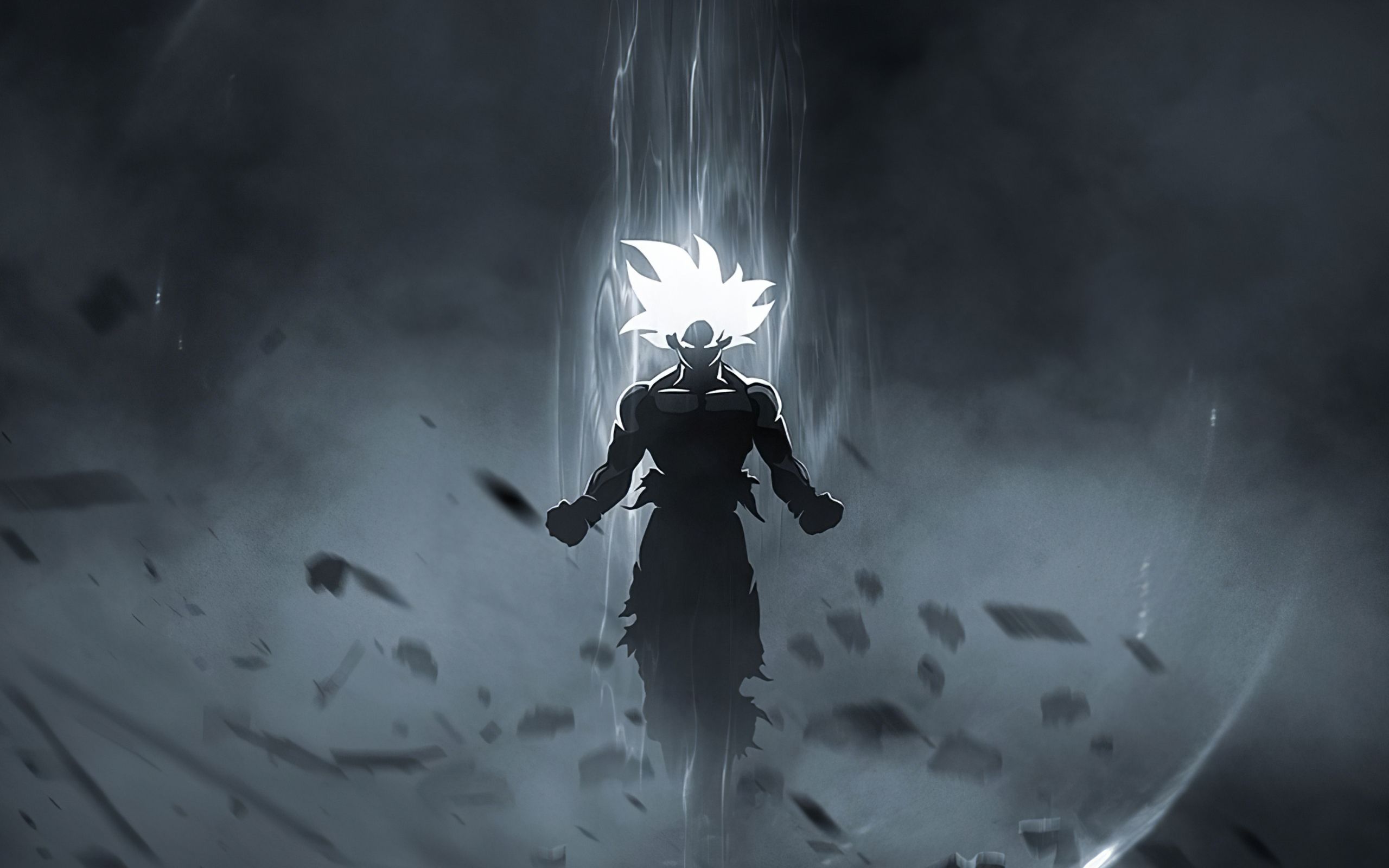 2560x1600 Download wallpaper 2560x1600 goku