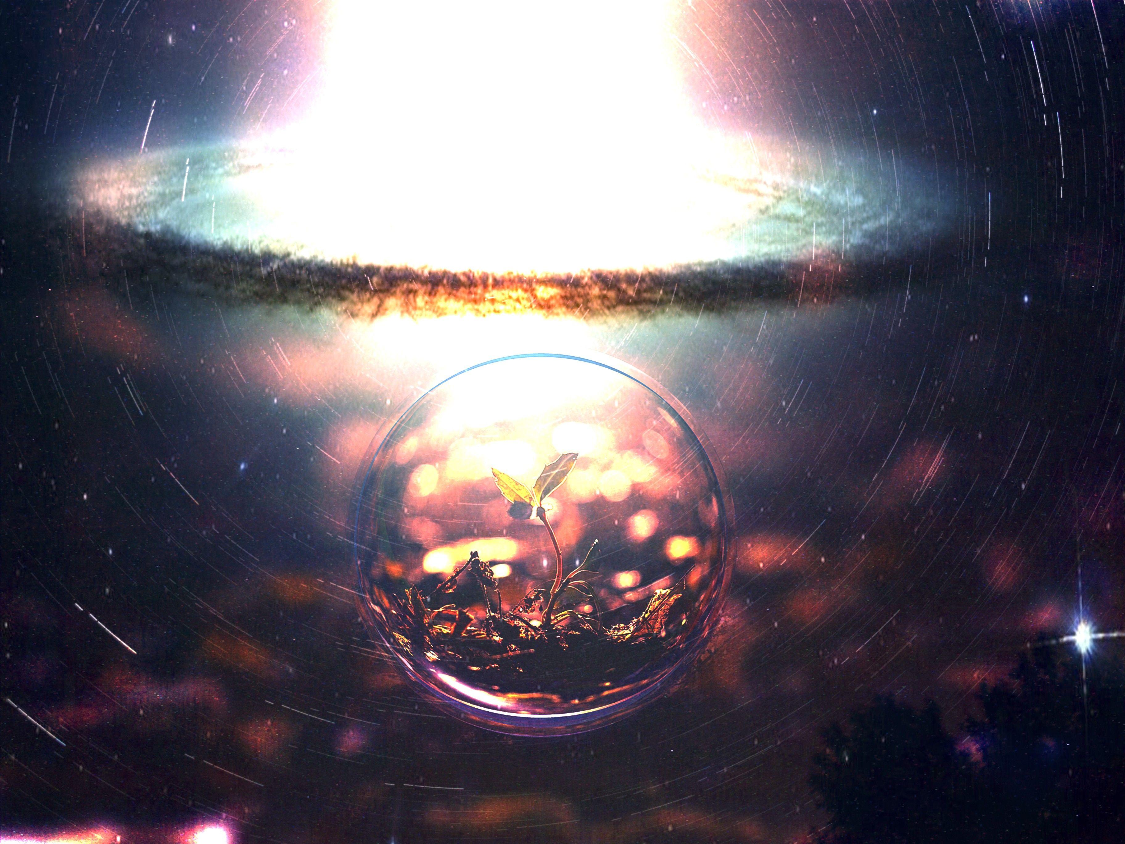 3648x2736 Wallpaper : sunlight, digital art, night, reflection, plants, stars