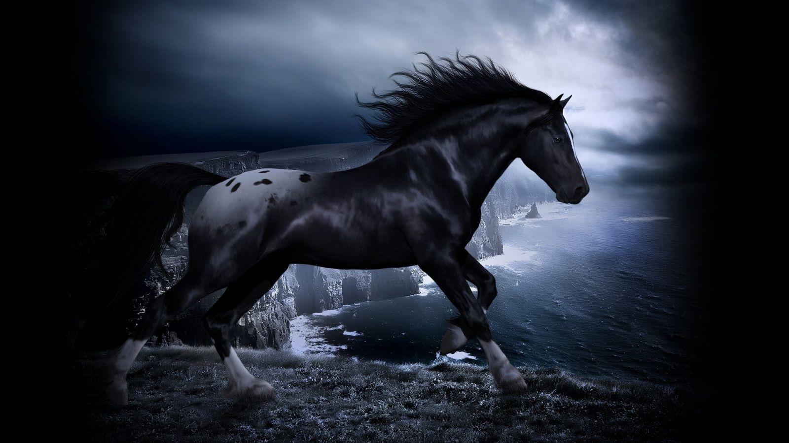 1600x900 Horse Picture For Desktop Background