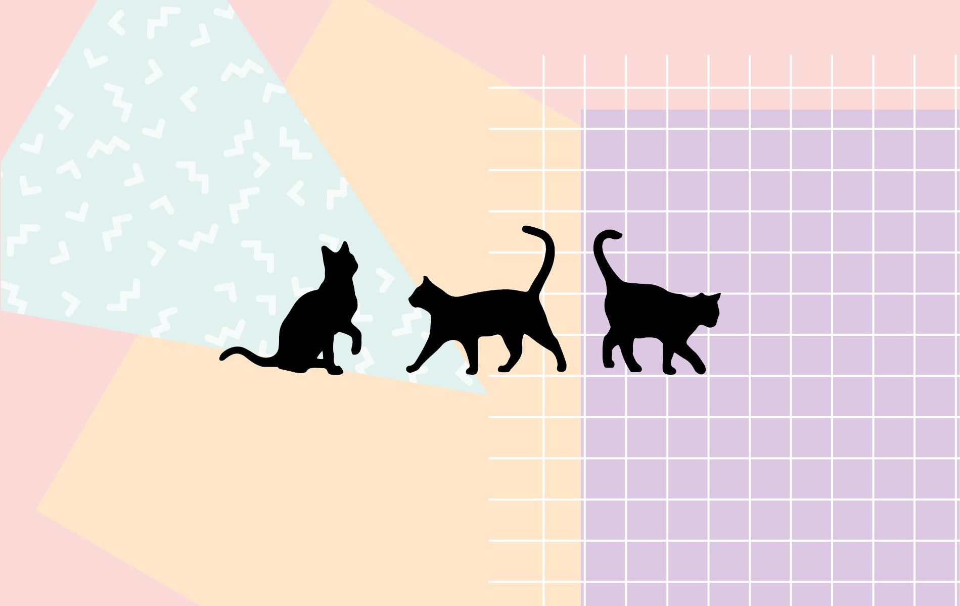 1899x1200 Black cat desktop wallpaper
