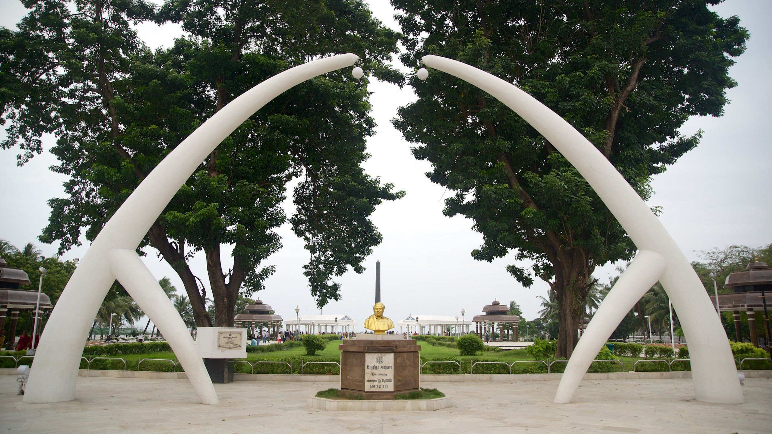 2560x1440 Marina Beach Tours