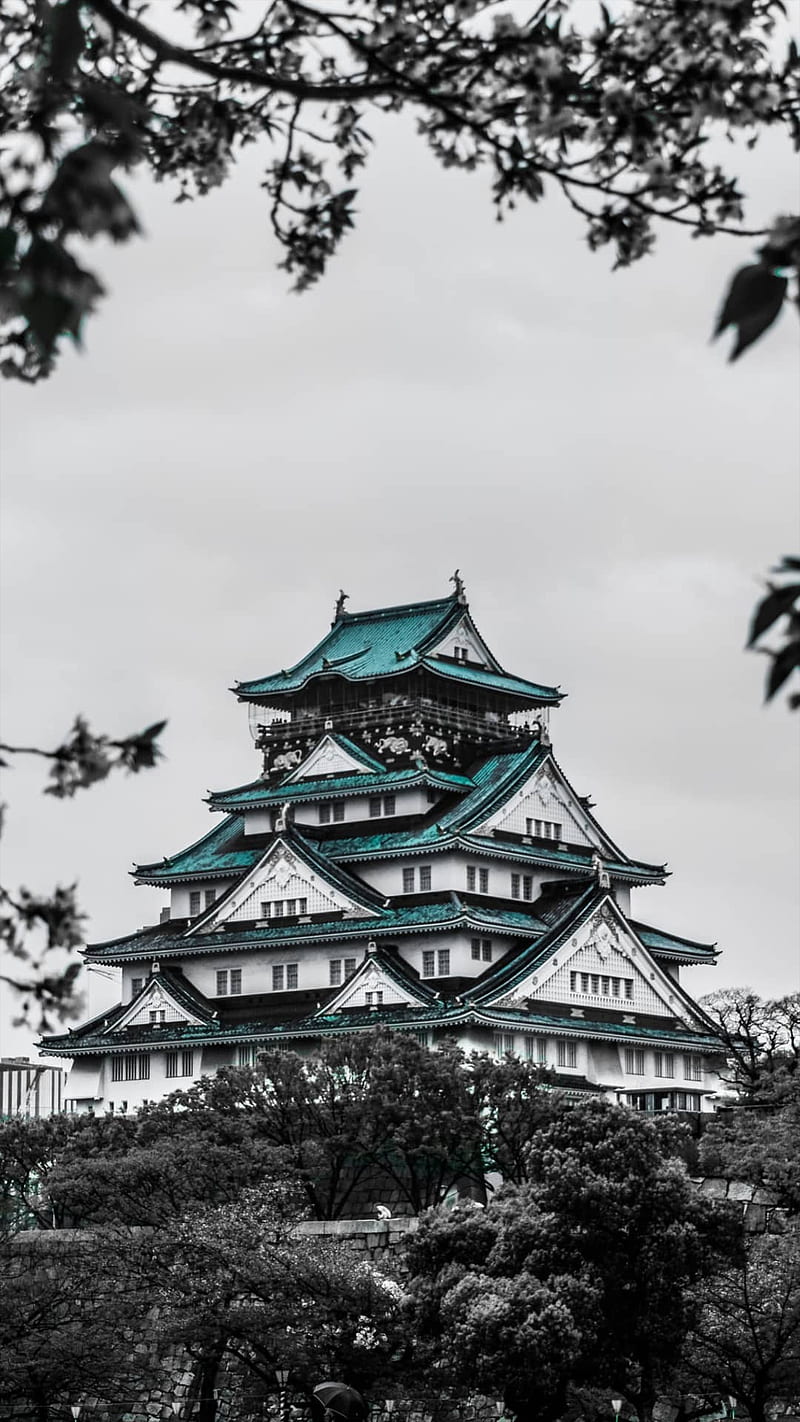 800x1422 Samurai Temple, castle, castles, japan, kungfu, magic, ninja, shaoline, world, HD phone wallpaper