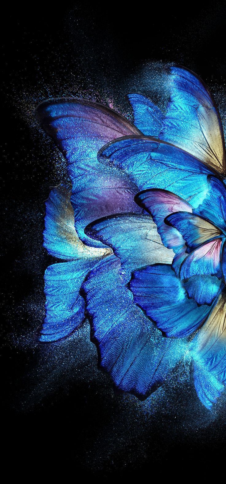 736x1574 Vivo X Fold Stock Wallpaper