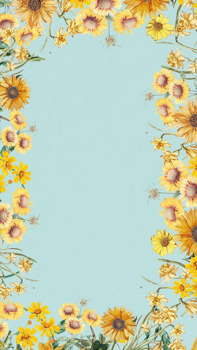 800x1422 Sunflower Wallpaper Image. Free