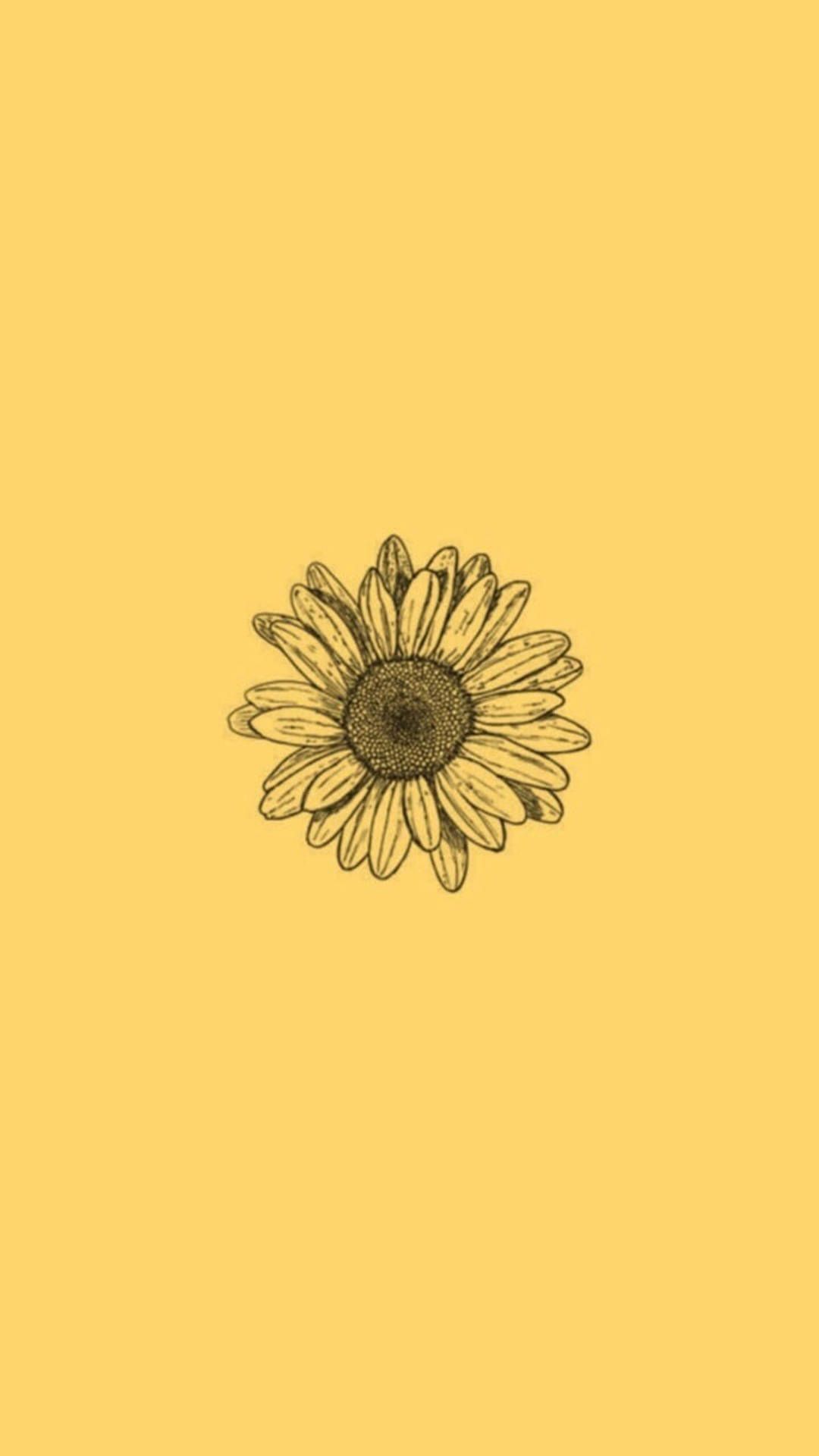 1080x1920 Download Minimalist Sunflower Art